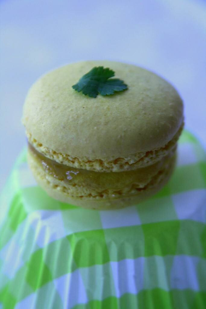 Macaron à la coriandre