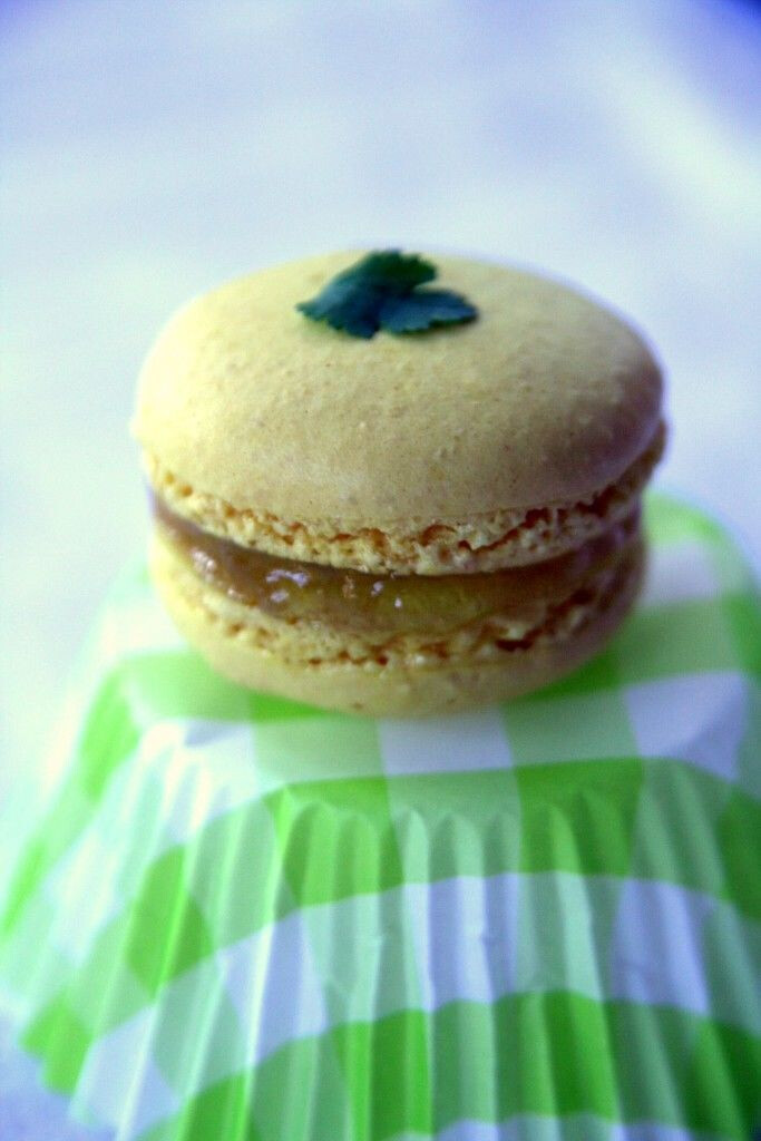 Macaron à la coriandre