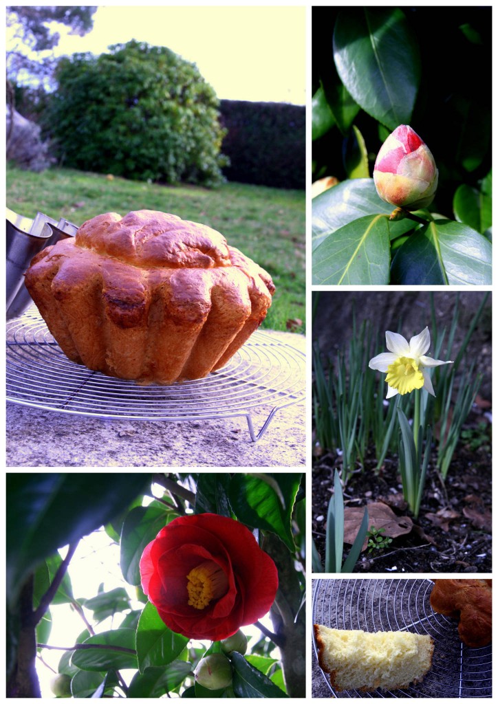 Brioche à la fleur d'oranger