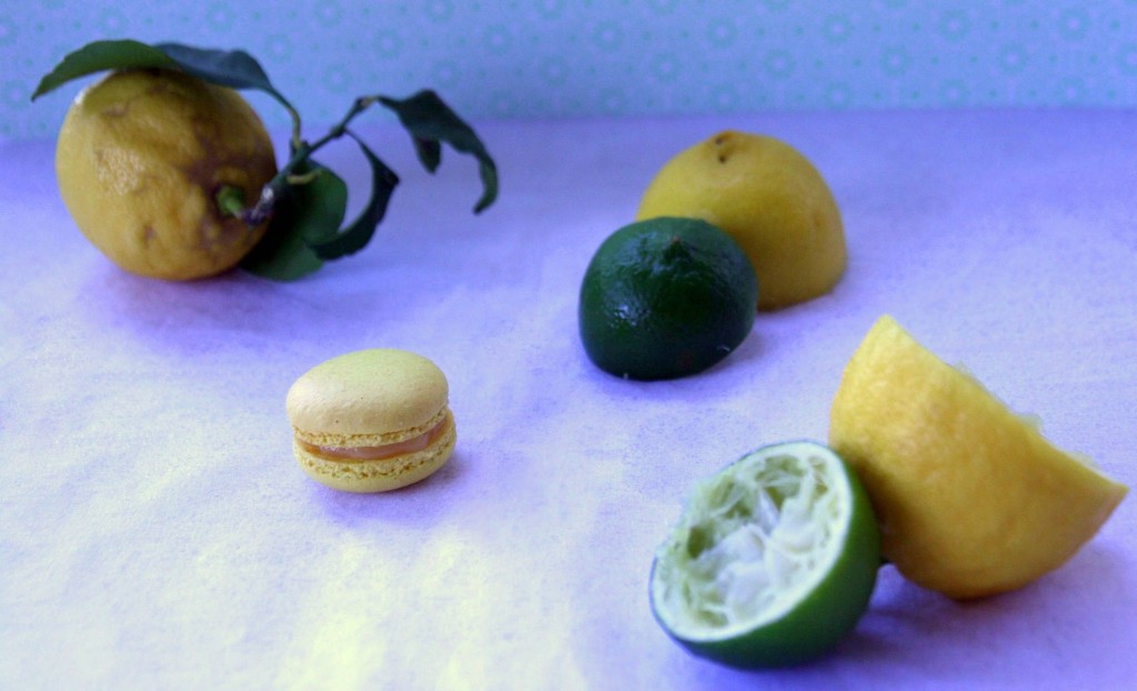 Macaron aux deux citrons