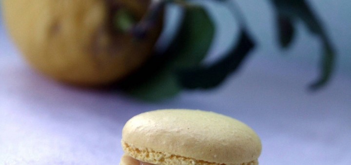 Macaron aux deux citrons