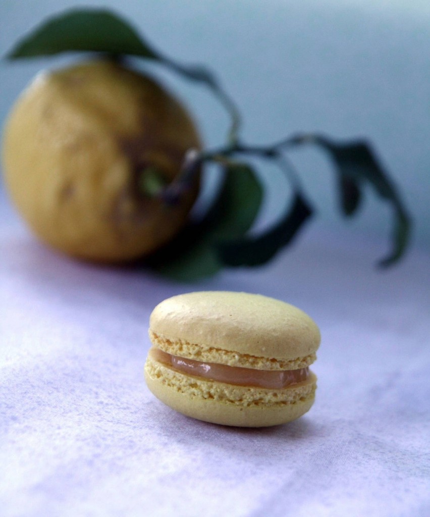 Macaron aux deux citrons