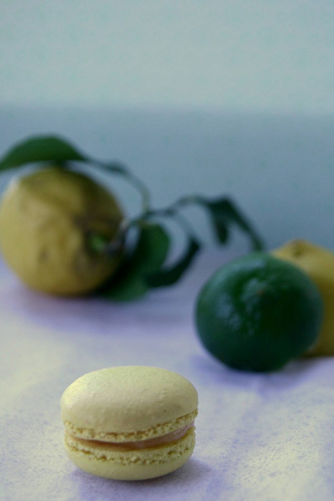 Macaron aux deux citrons