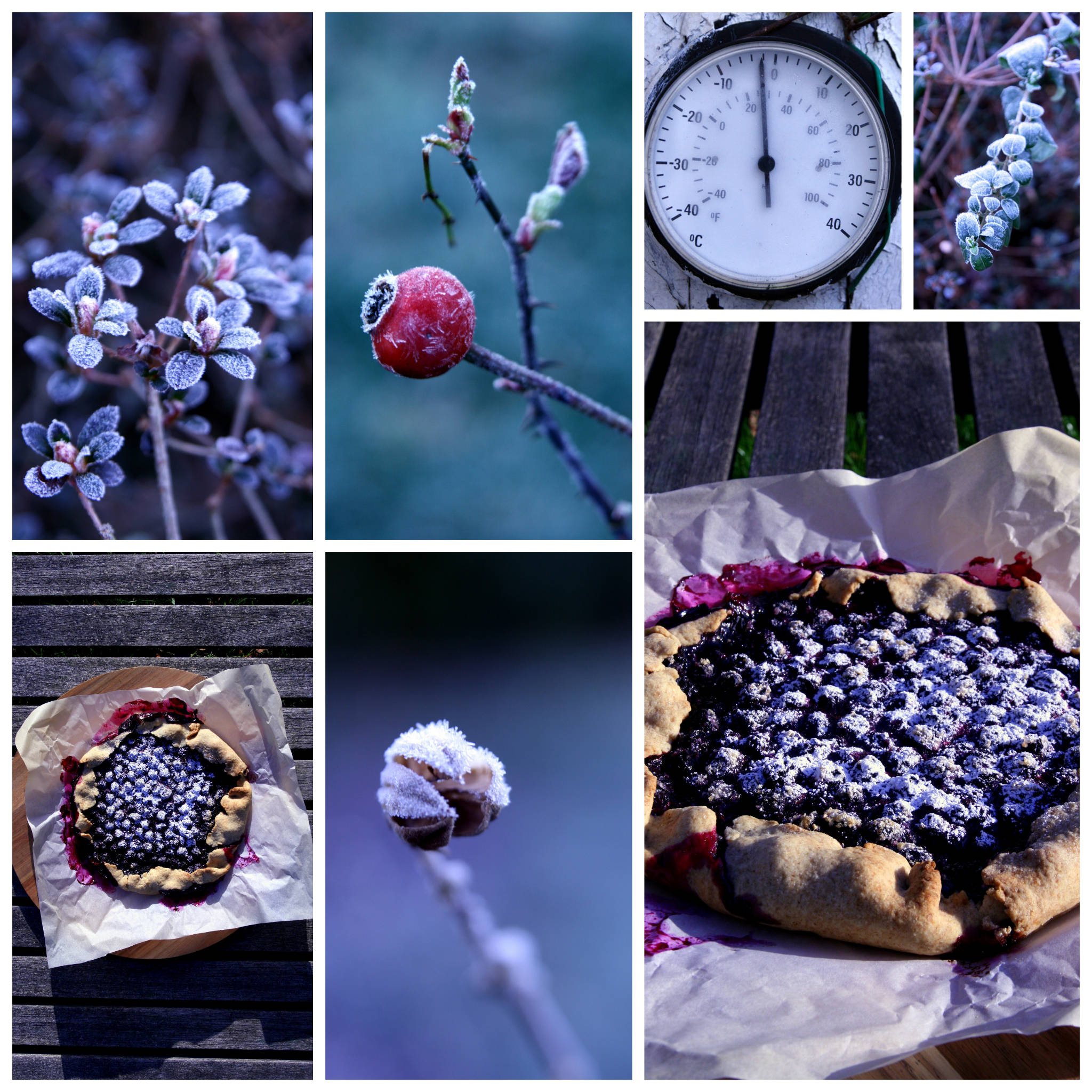 Tarte rustique aux myrtilles