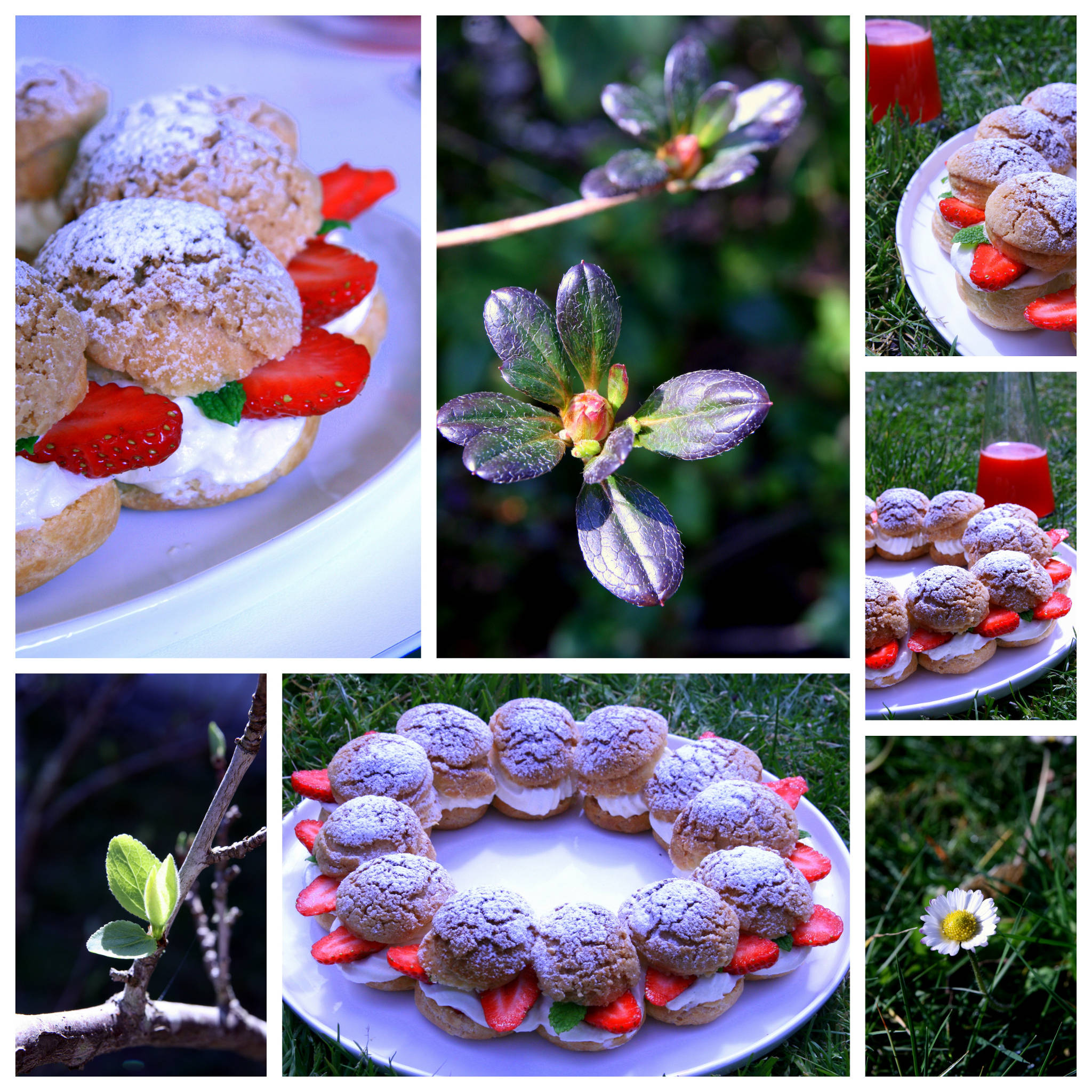 Couronne de choux aux fraises et chocolat blanc, eau de fraise