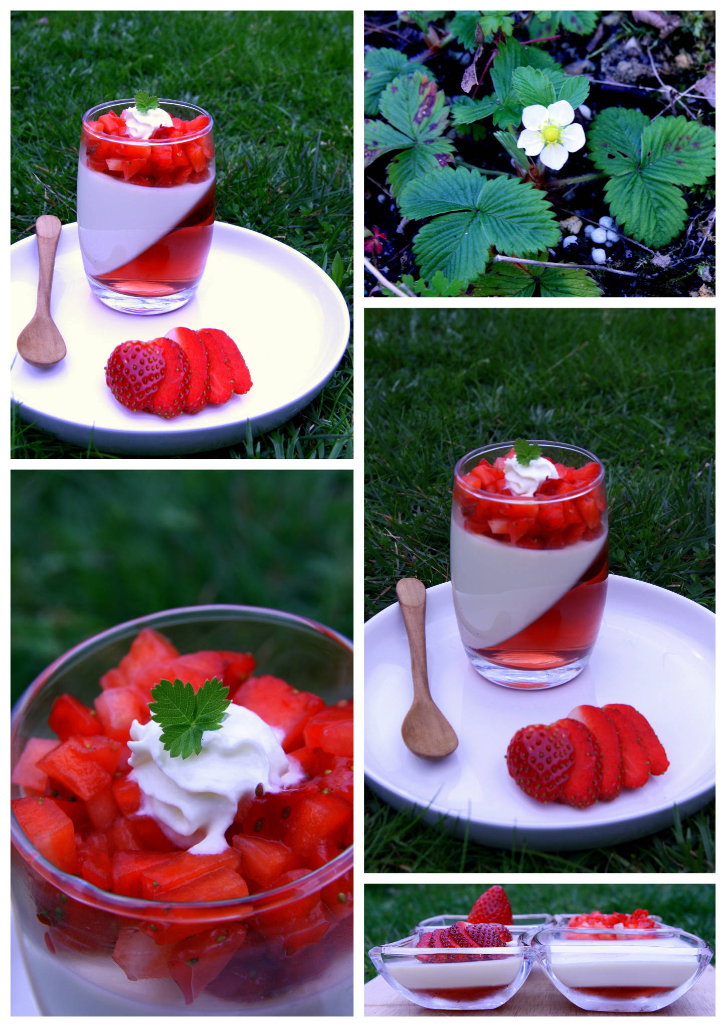 Panna cotta vanille et gelée à la fraise