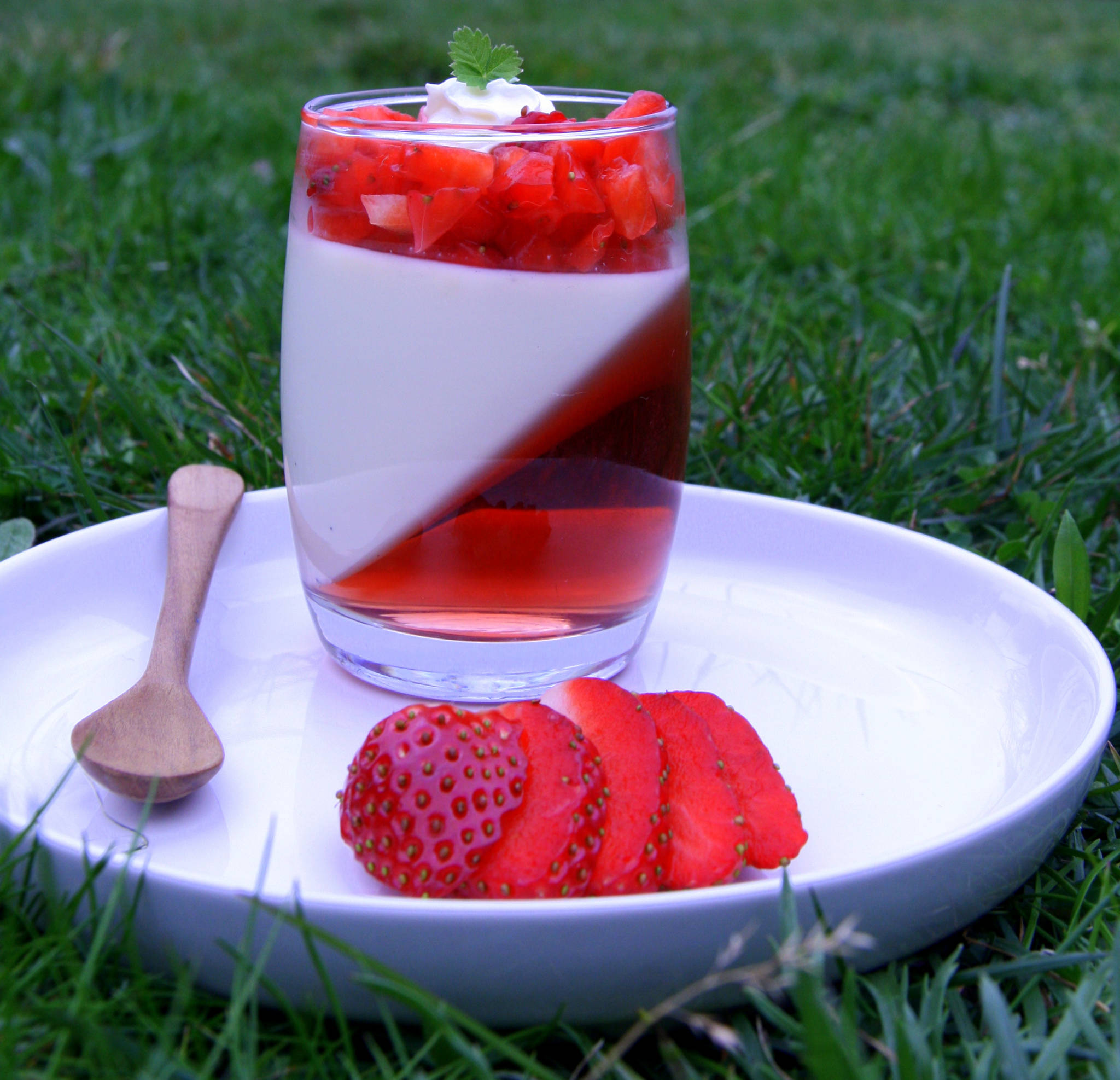 Panna cotta vanille et gelée à la fraise