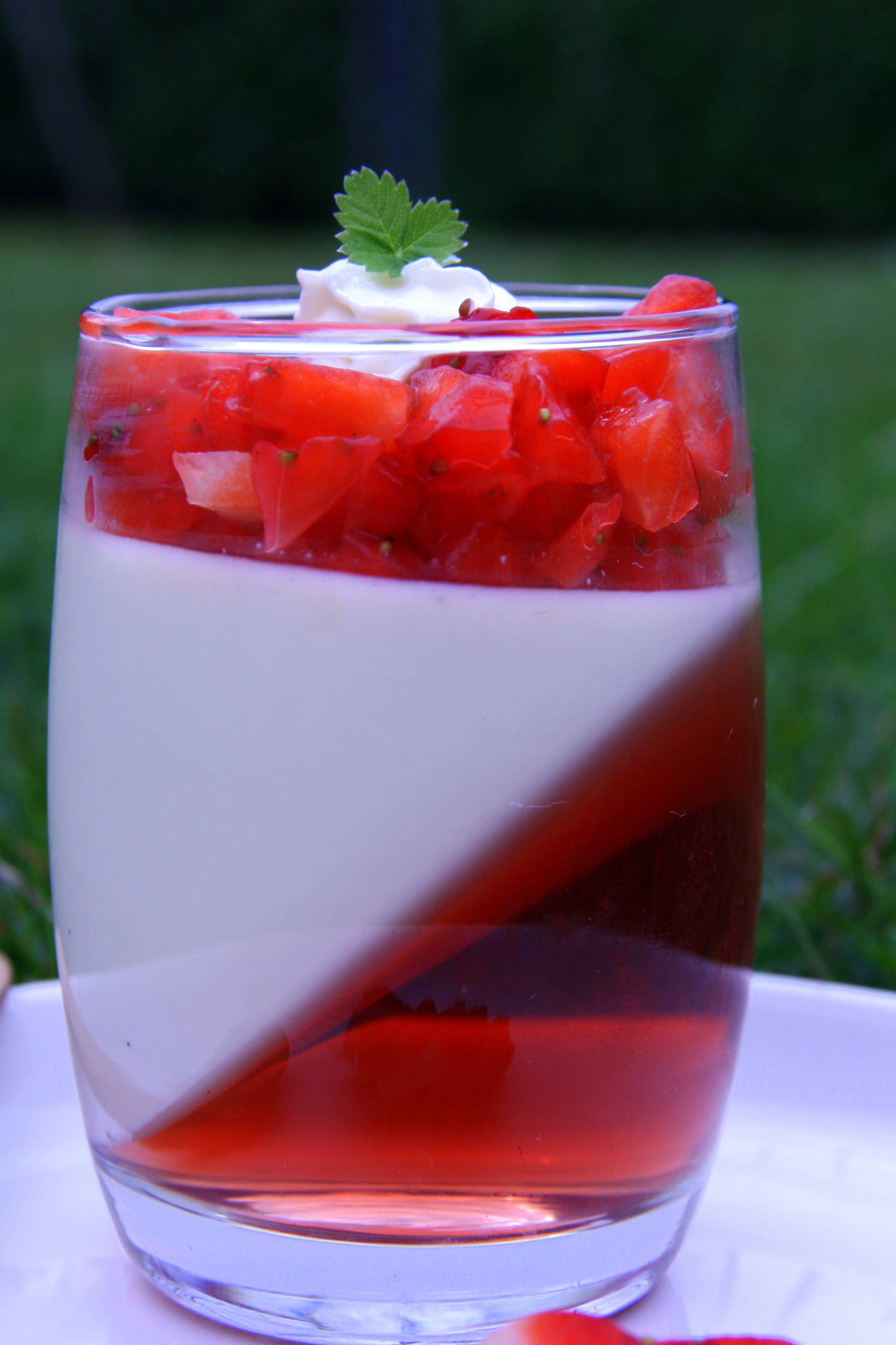 Panna cotta vanille et gelée à la fraise