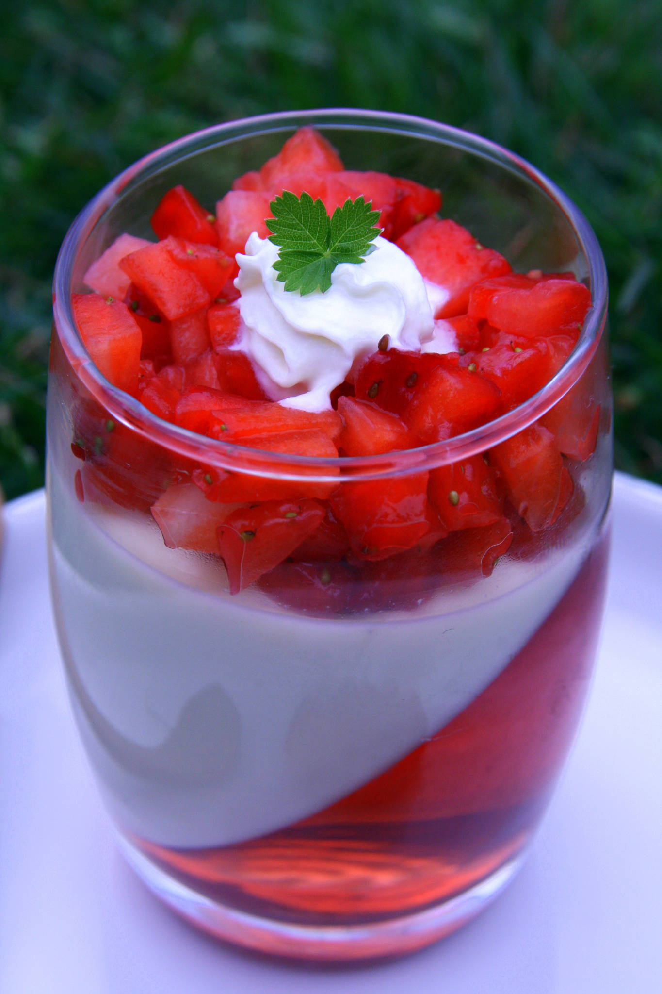 Panna cotta vanille et gelée à la fraise