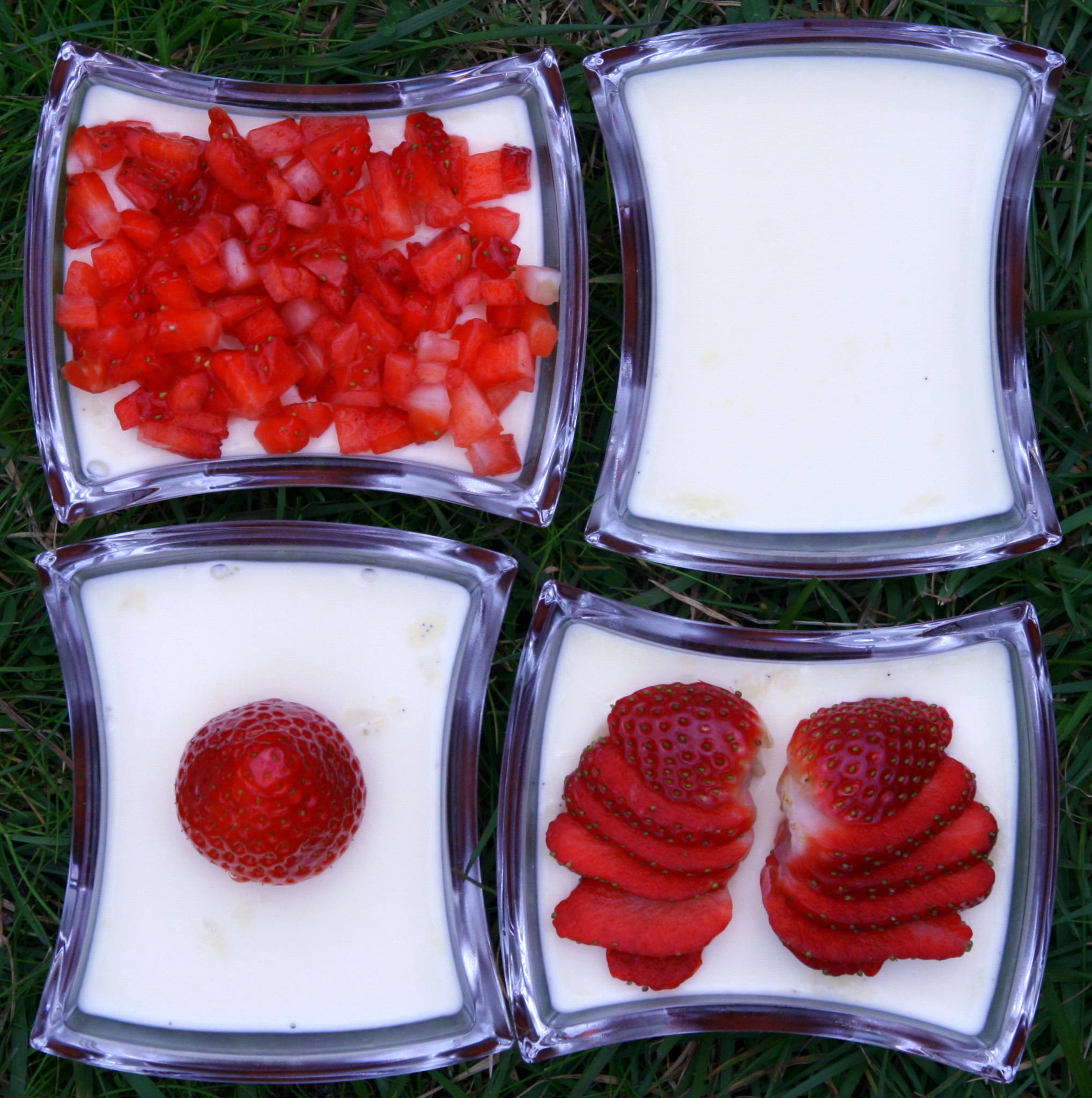 Panna cotta vanille et gelée à la fraise