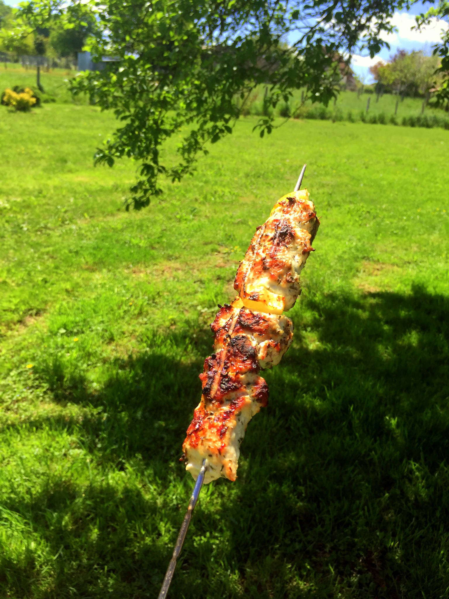 Brochettes de dinde au citron et au thym, marinade au yaourt