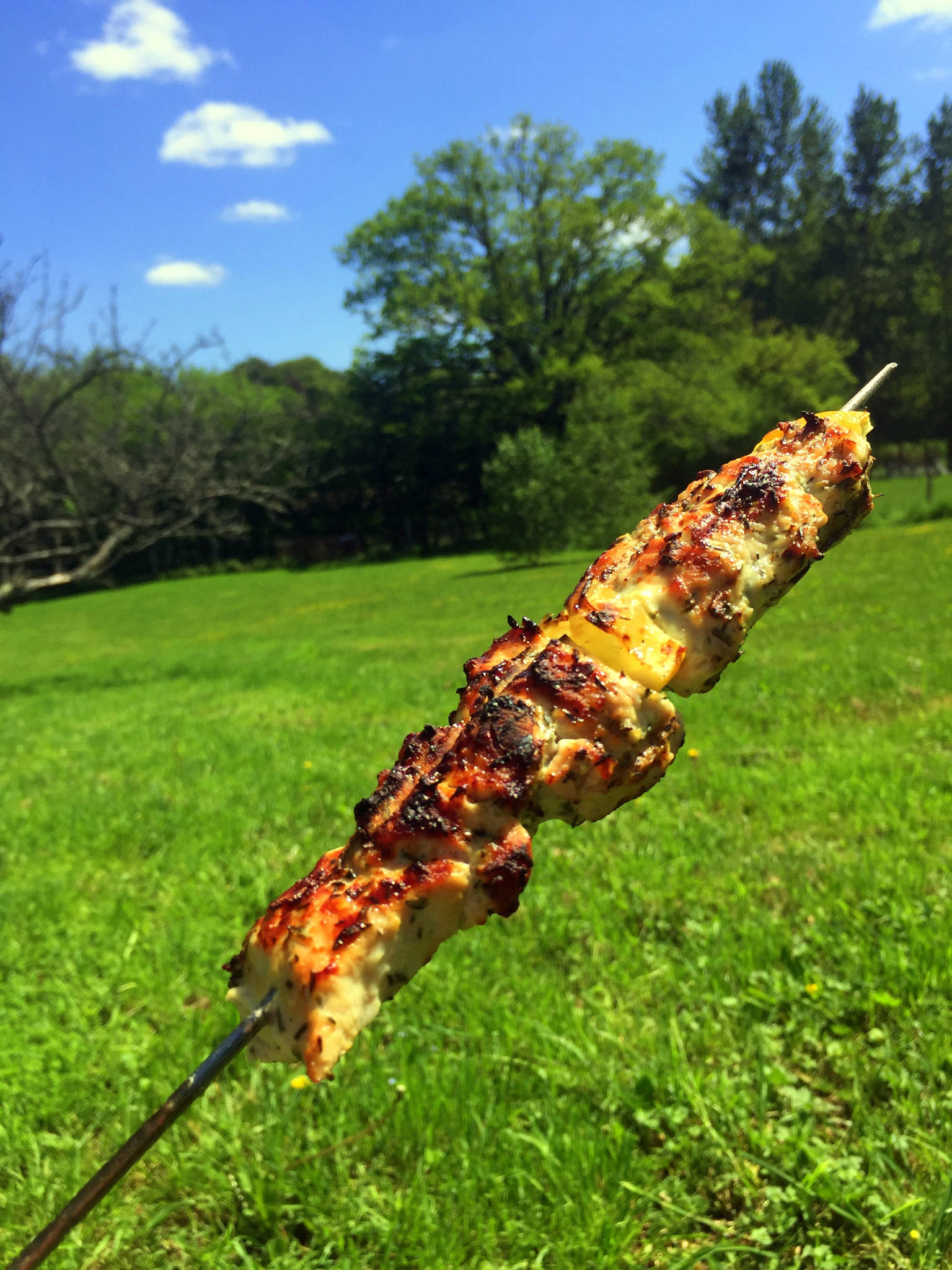 Brochettes de dinde au citron et au thym, marinade au yaourt