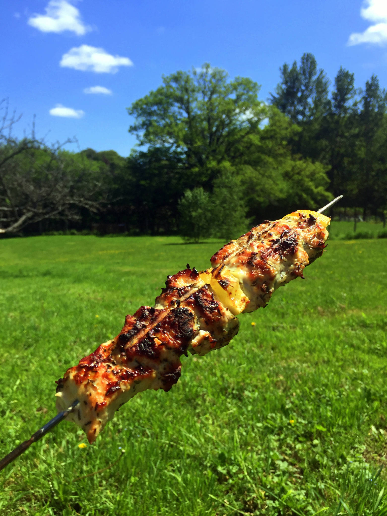 Brochettes de dinde au citron et au thym, marinade au yaourt