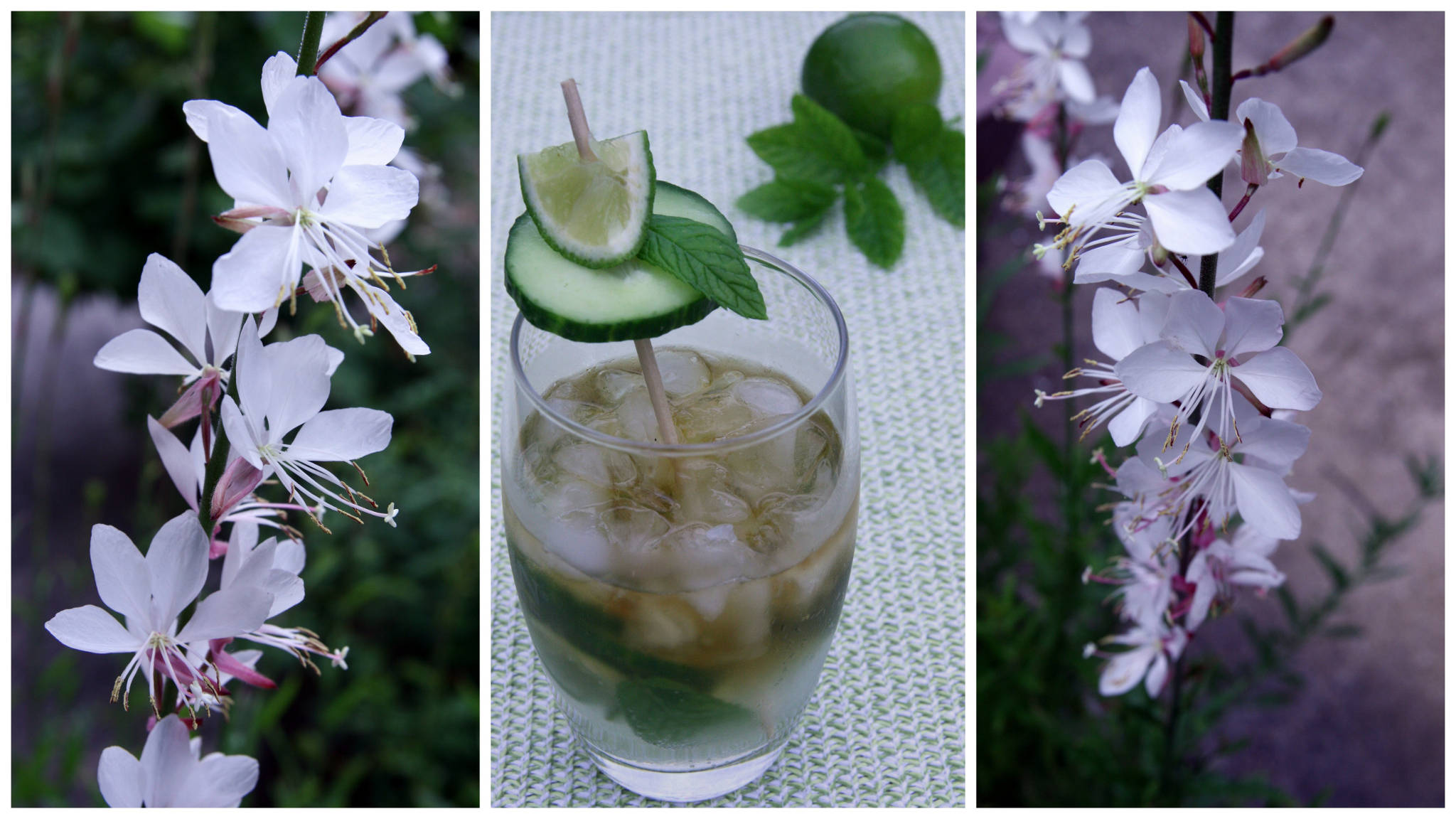 Mojito concombre au Calvados