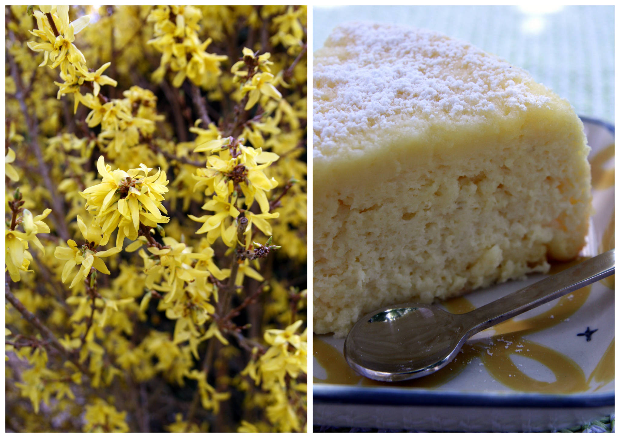 Japanese cotton cheese cake