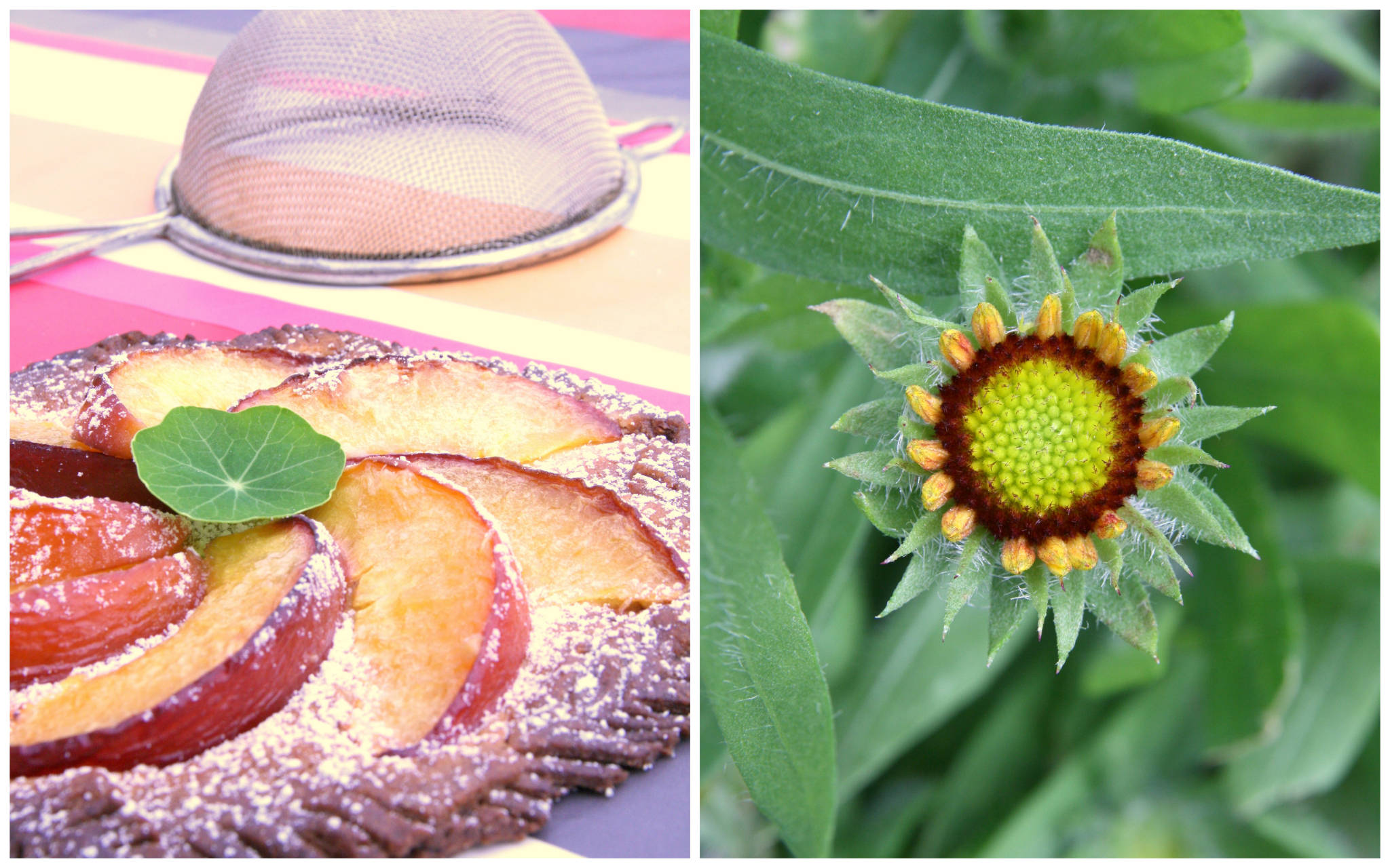 Tarte fine à la nectarine et au gingembre