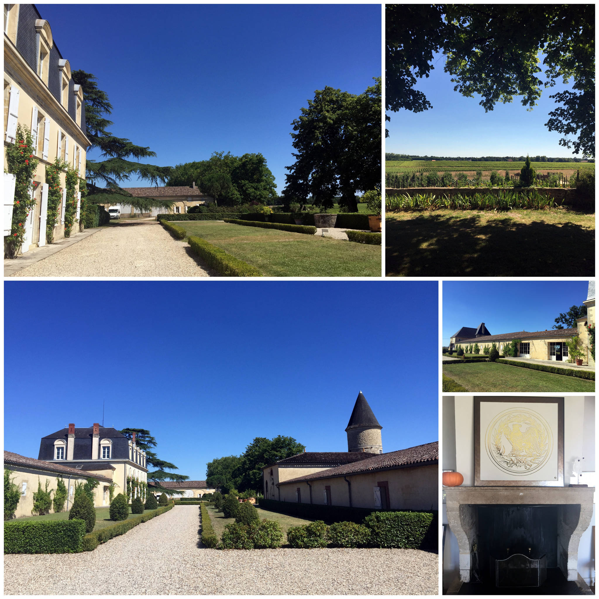 Château Guiraud à Sauternes (33)