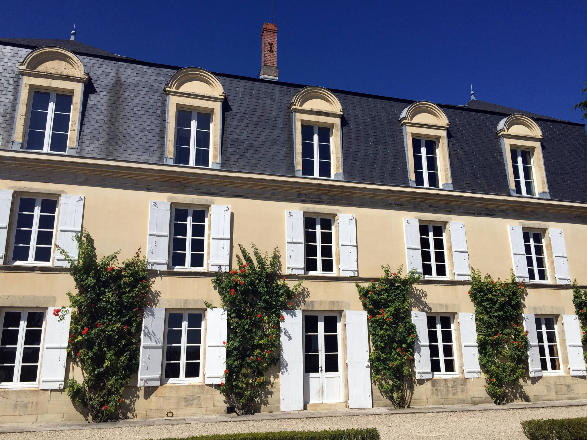 Château Guiraud à Sauternes (33)