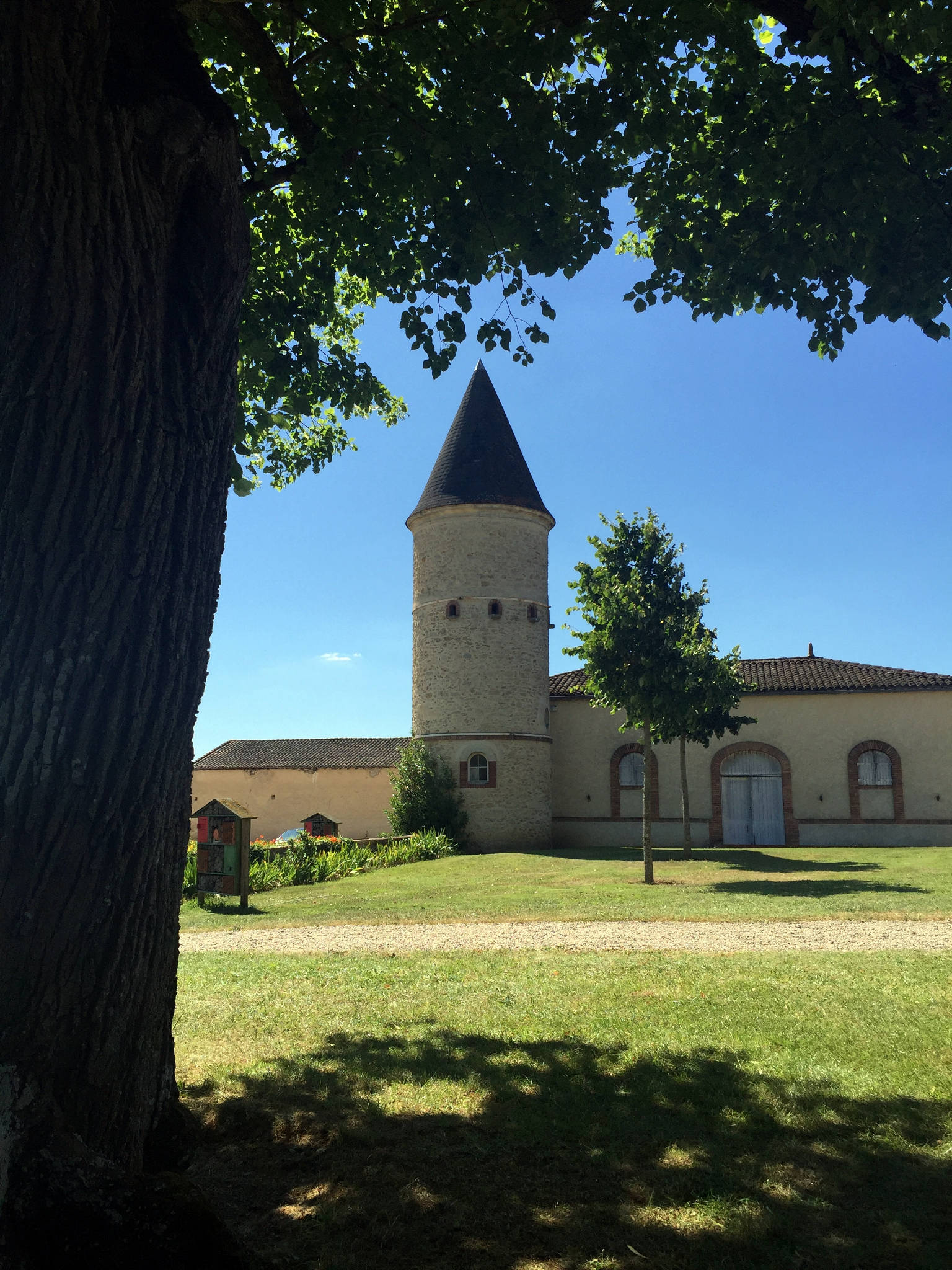 Château Guiraud à Sauternes (33)