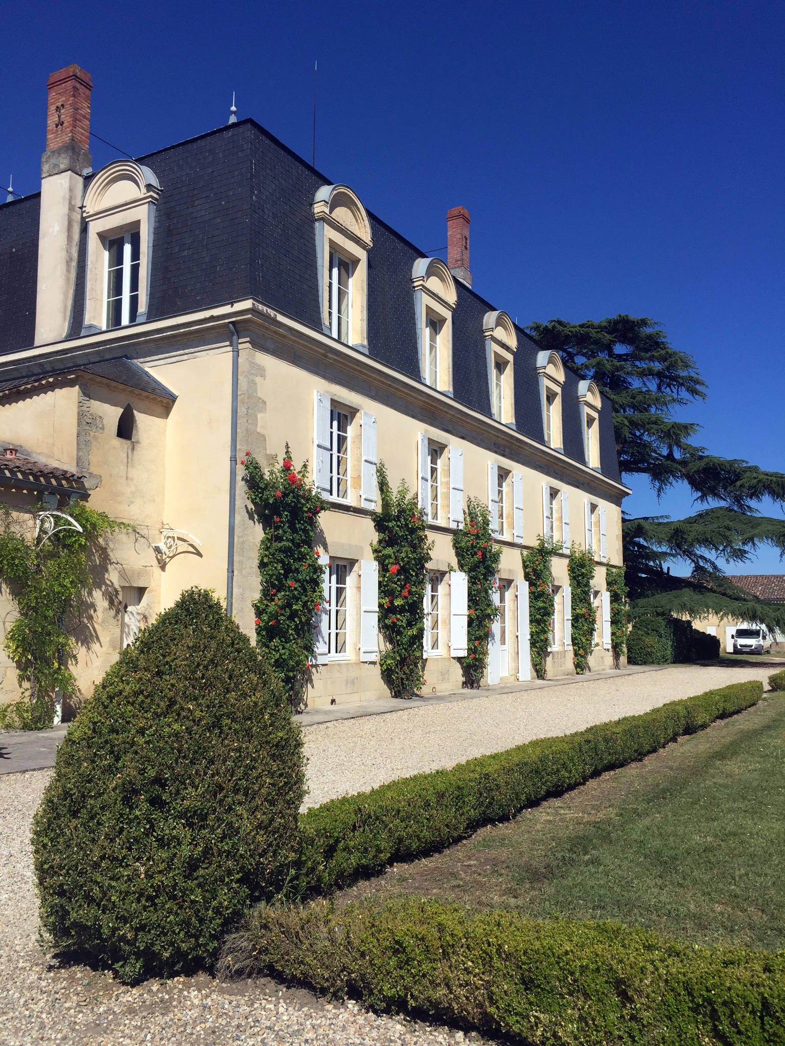 Château Guiraud à Sauternes (33)