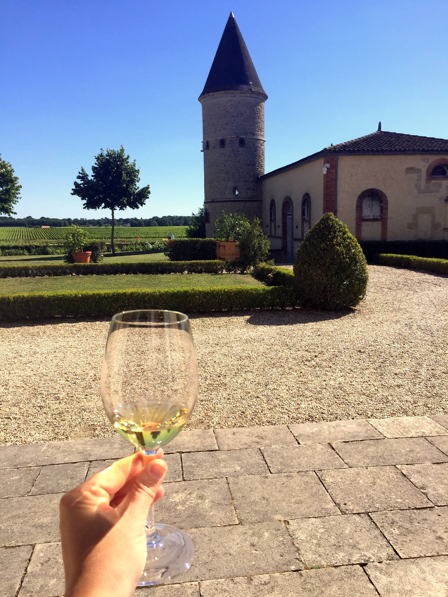 Château Guiraud à Sauternes (33)