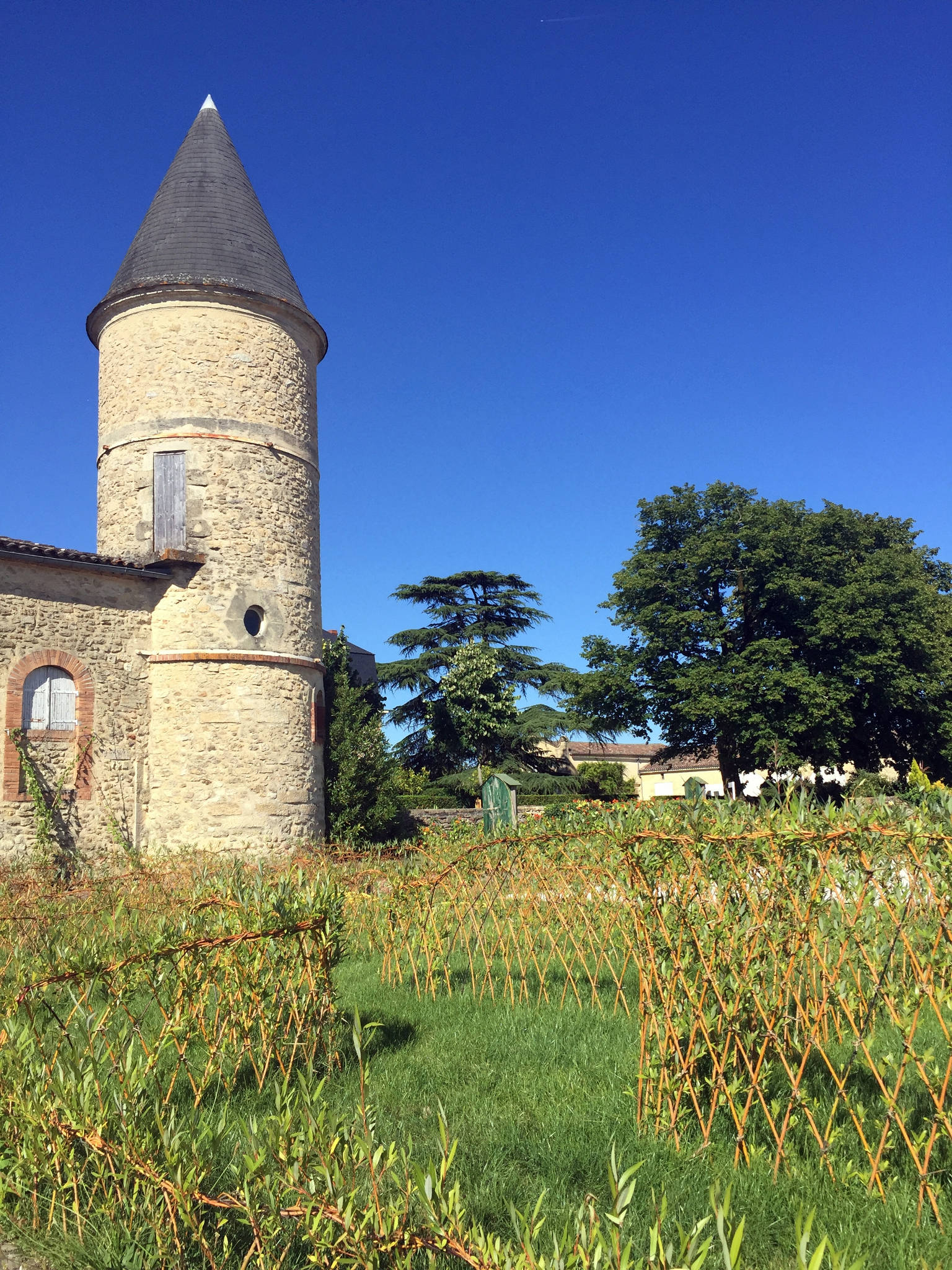 Château Guiraud à Sauternes (33)