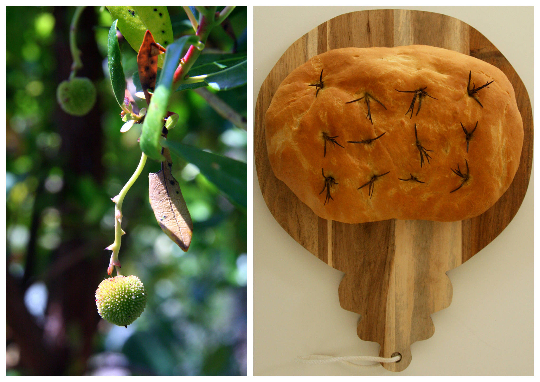 Fougasse au romarin