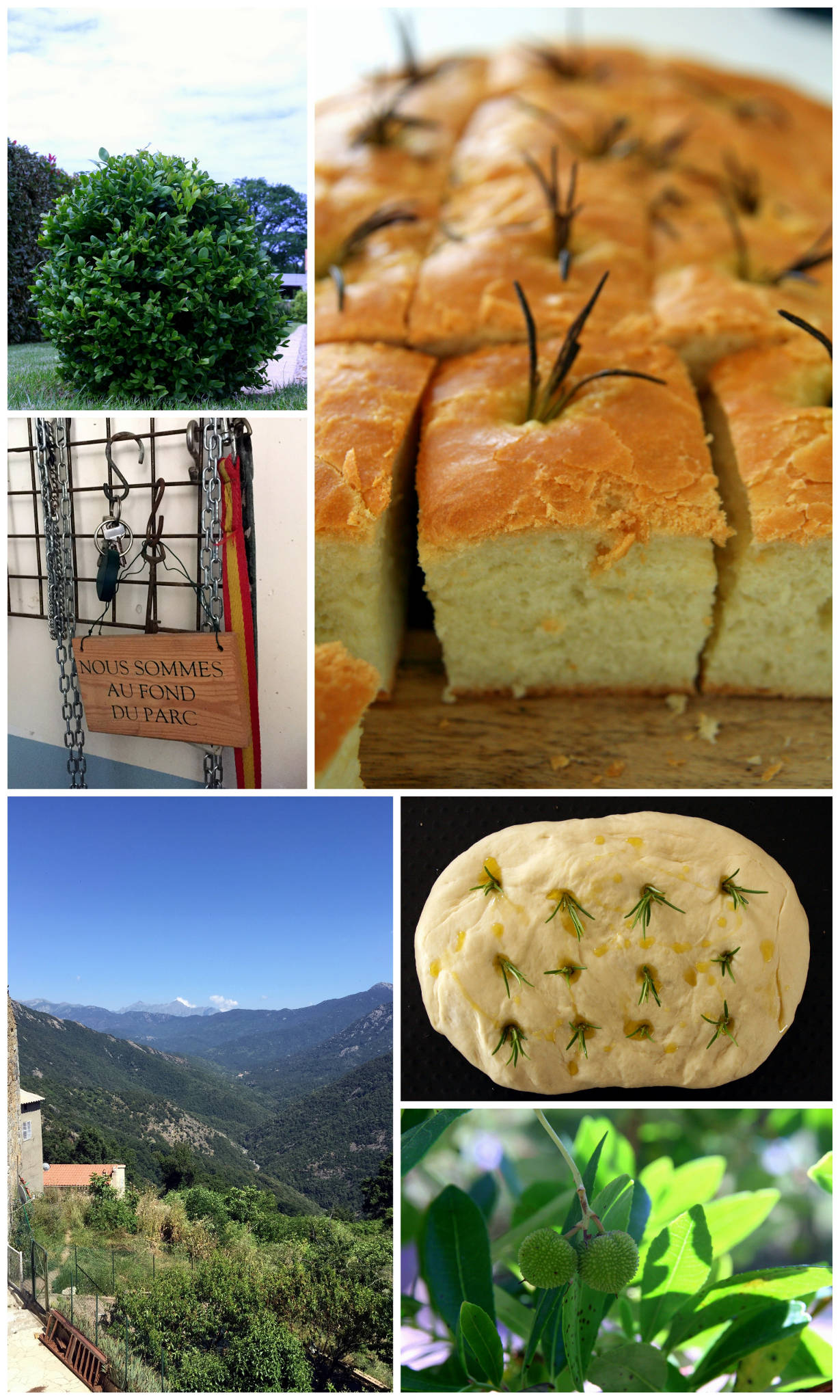 Fougasse au romarin