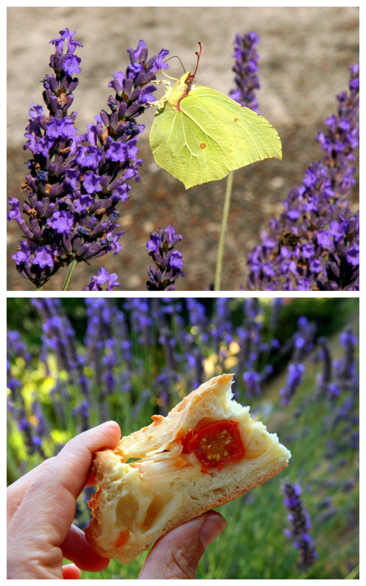 Fougasse aux tomates-cerises et aux oignons nouveaux