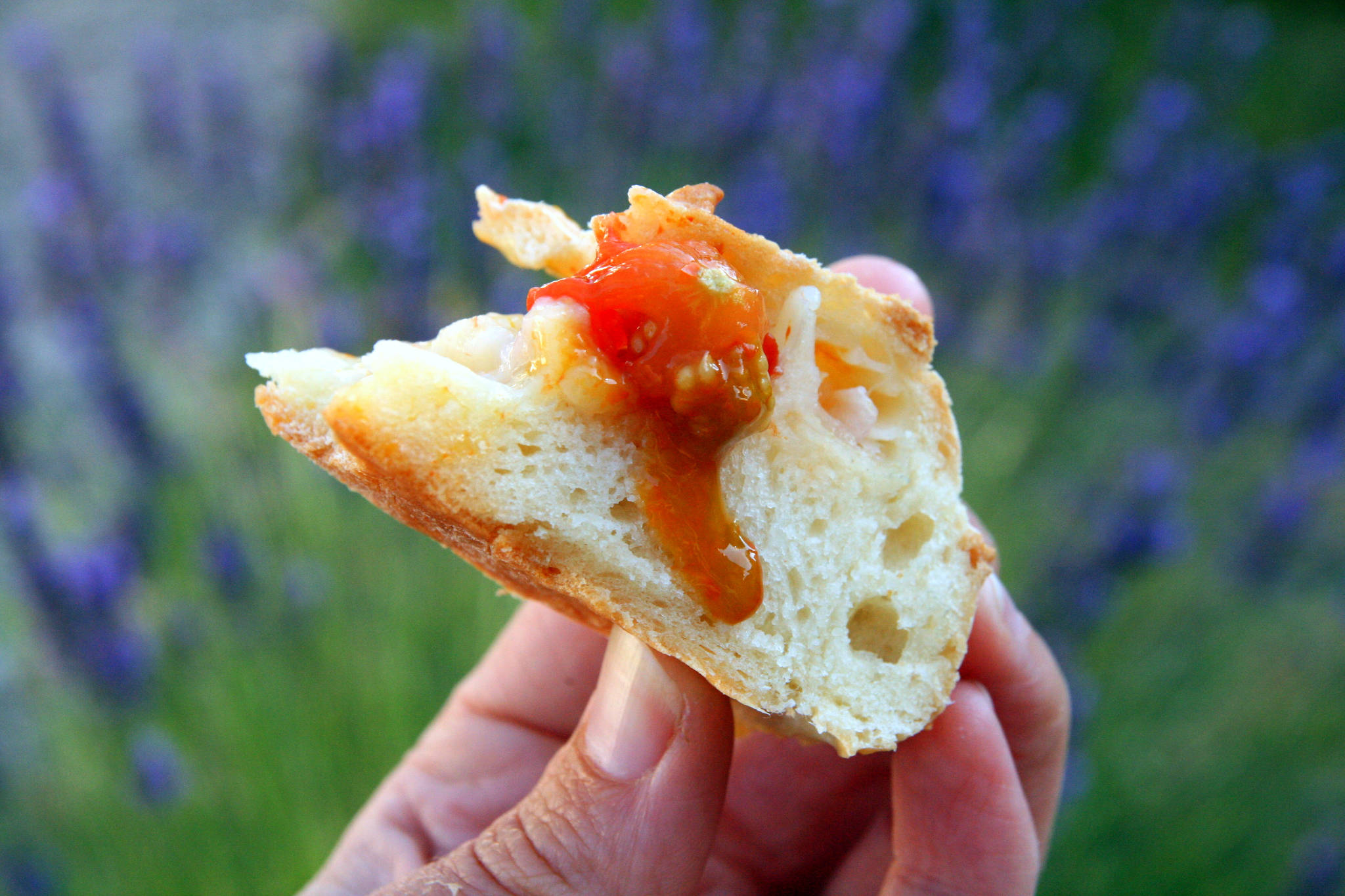 Fougasse aux tomates-cerises et aux oignons nouveaux