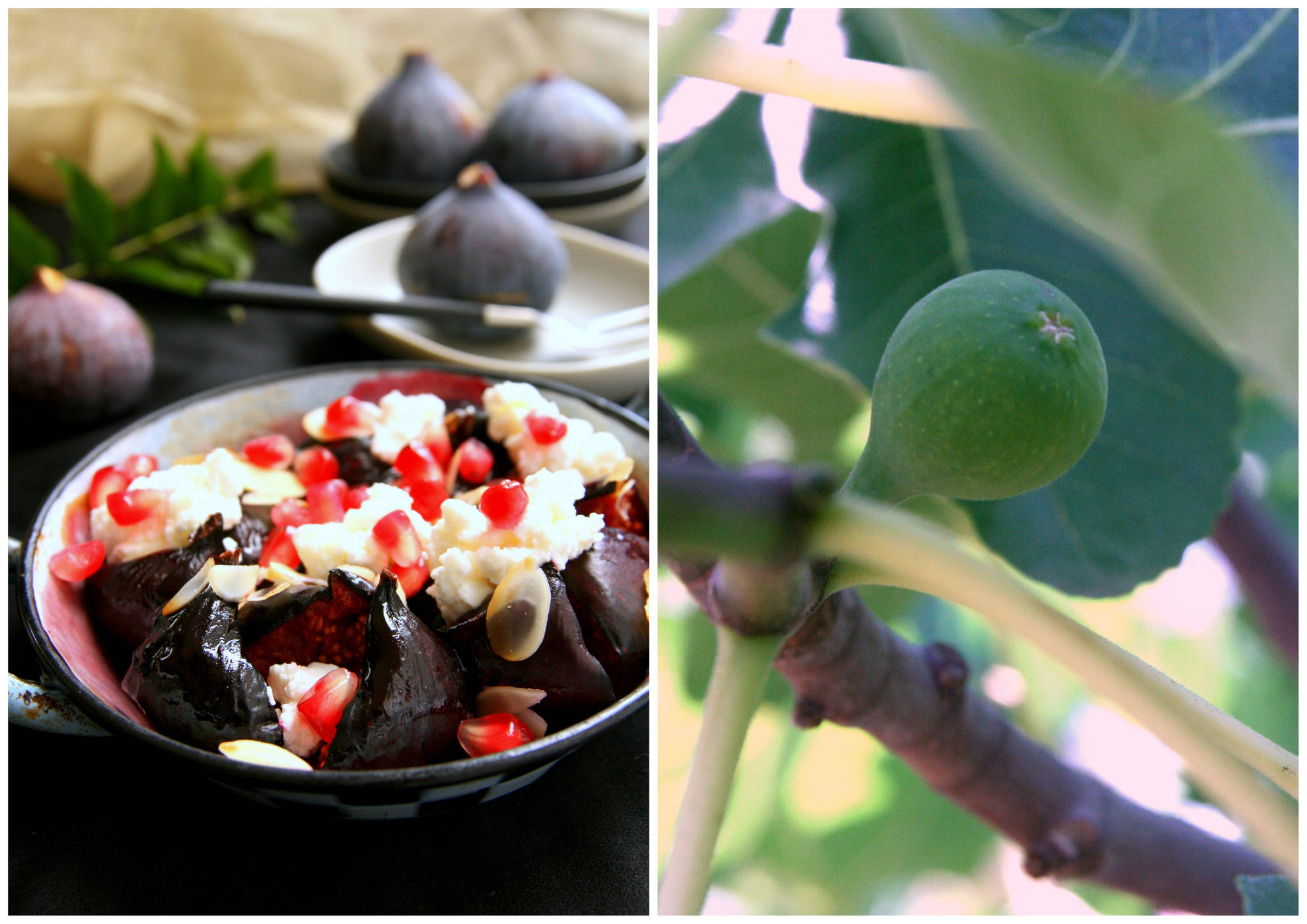 Figues rôties au miel, chèvre frais et grenade