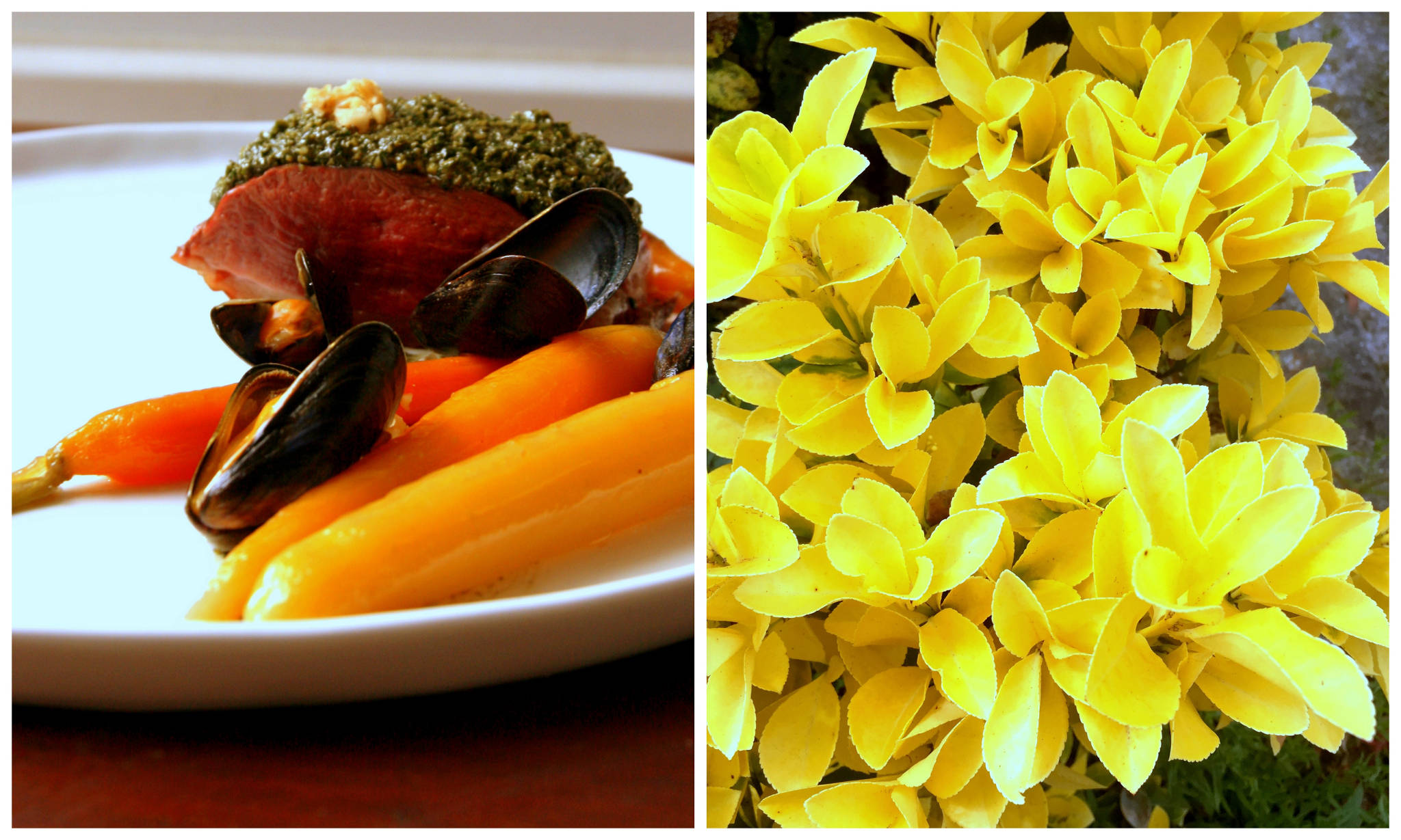 Terre & mer d'Aquitaine - Magret au pesto de fanes de carottes des sables et aux noix du Périgord, moules de bouchot au Lillet, carottes glacées