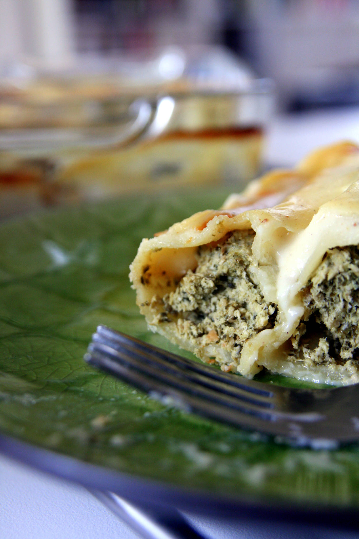 Canneloni de poulet aux fanes de carottes, béchamel au cumin