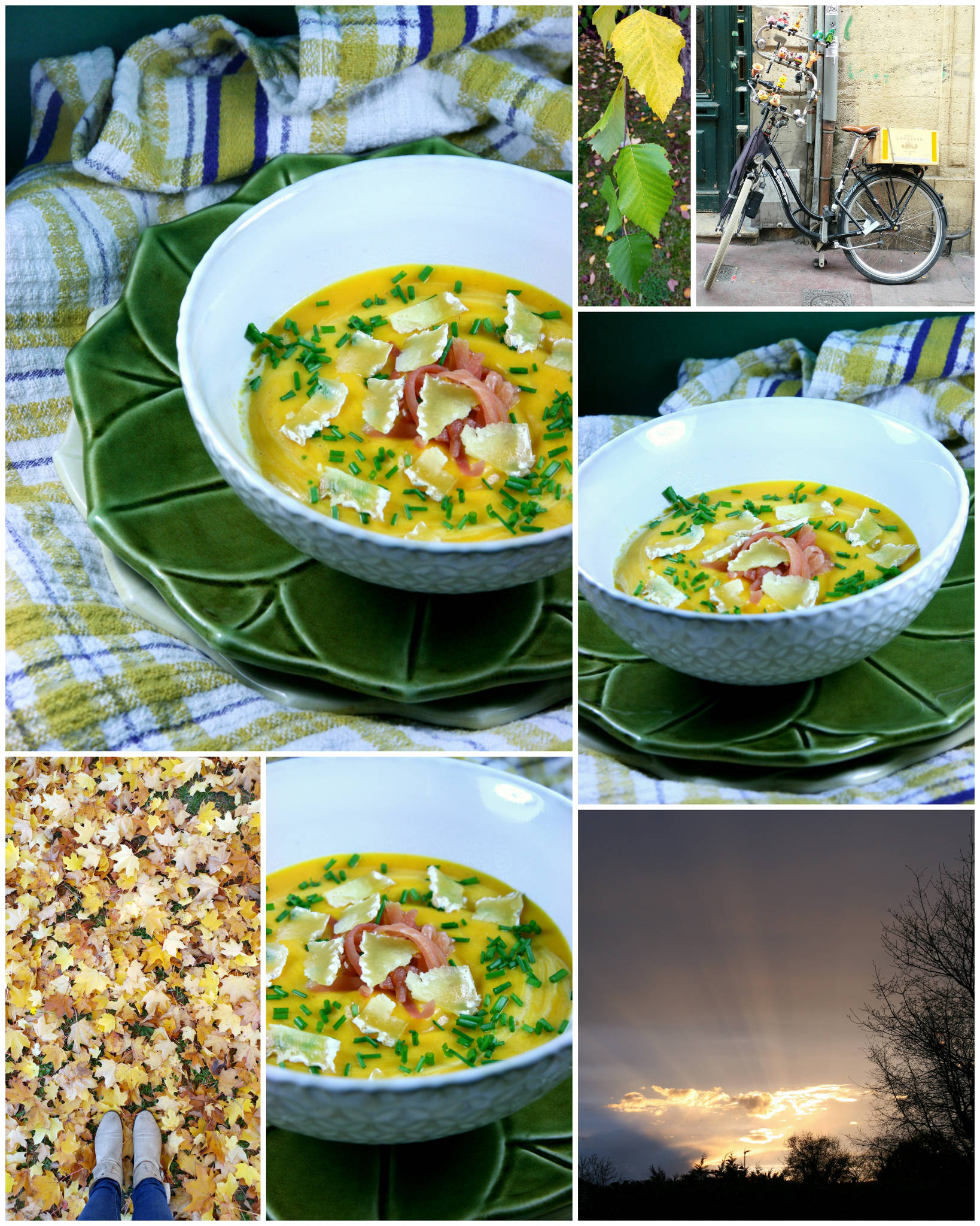 49+ Velouté Butternut Pomme De Terre PNG