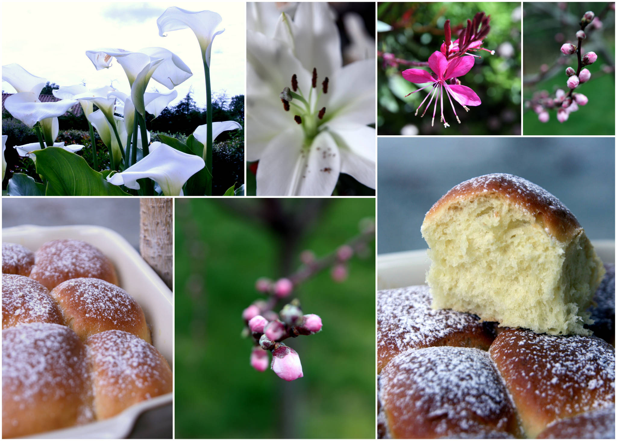 Brioche légère sans beurre