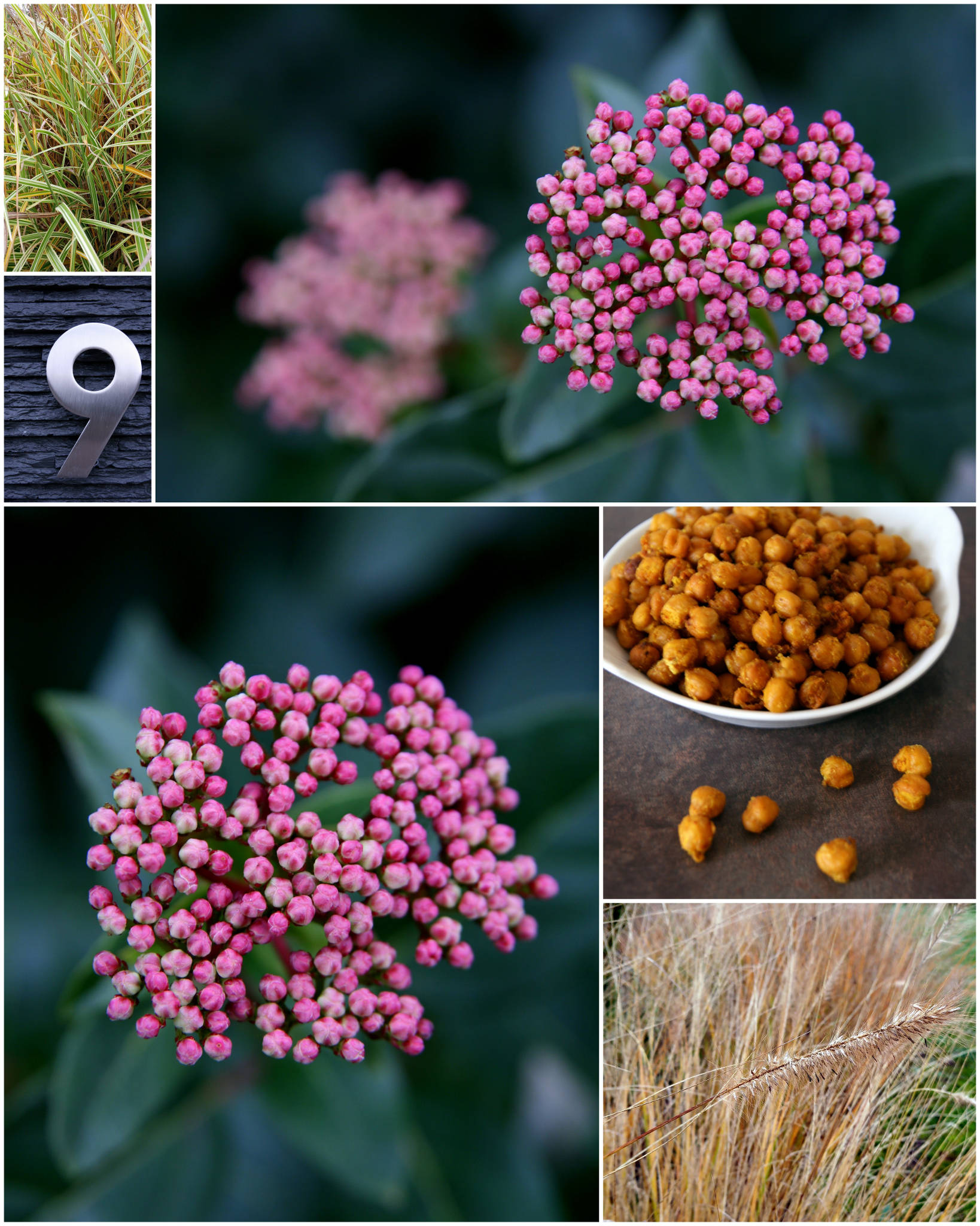 Pois chiches rôtis aux épices