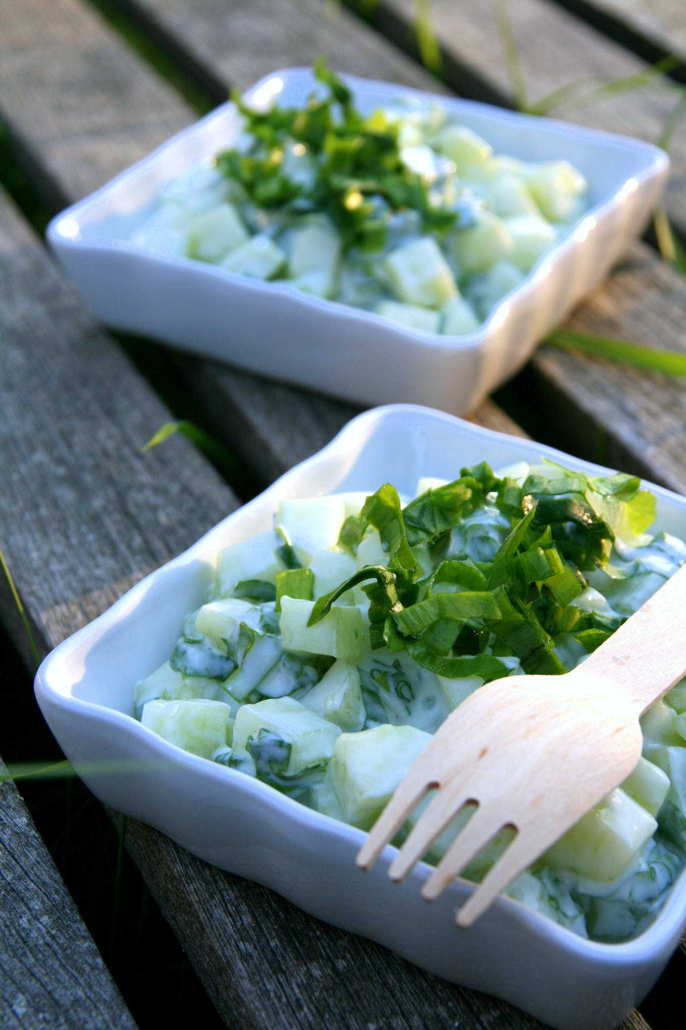 Salade de concombre, yaourt et ail des ours