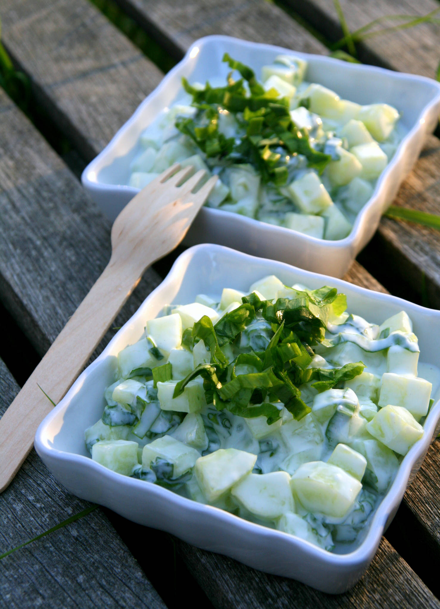 Salade de concombre, yaourt et ail des ours