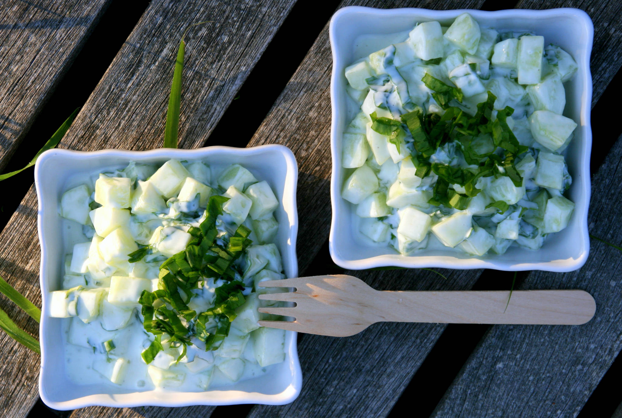 Salade de concombre, yaourt et ail des ours