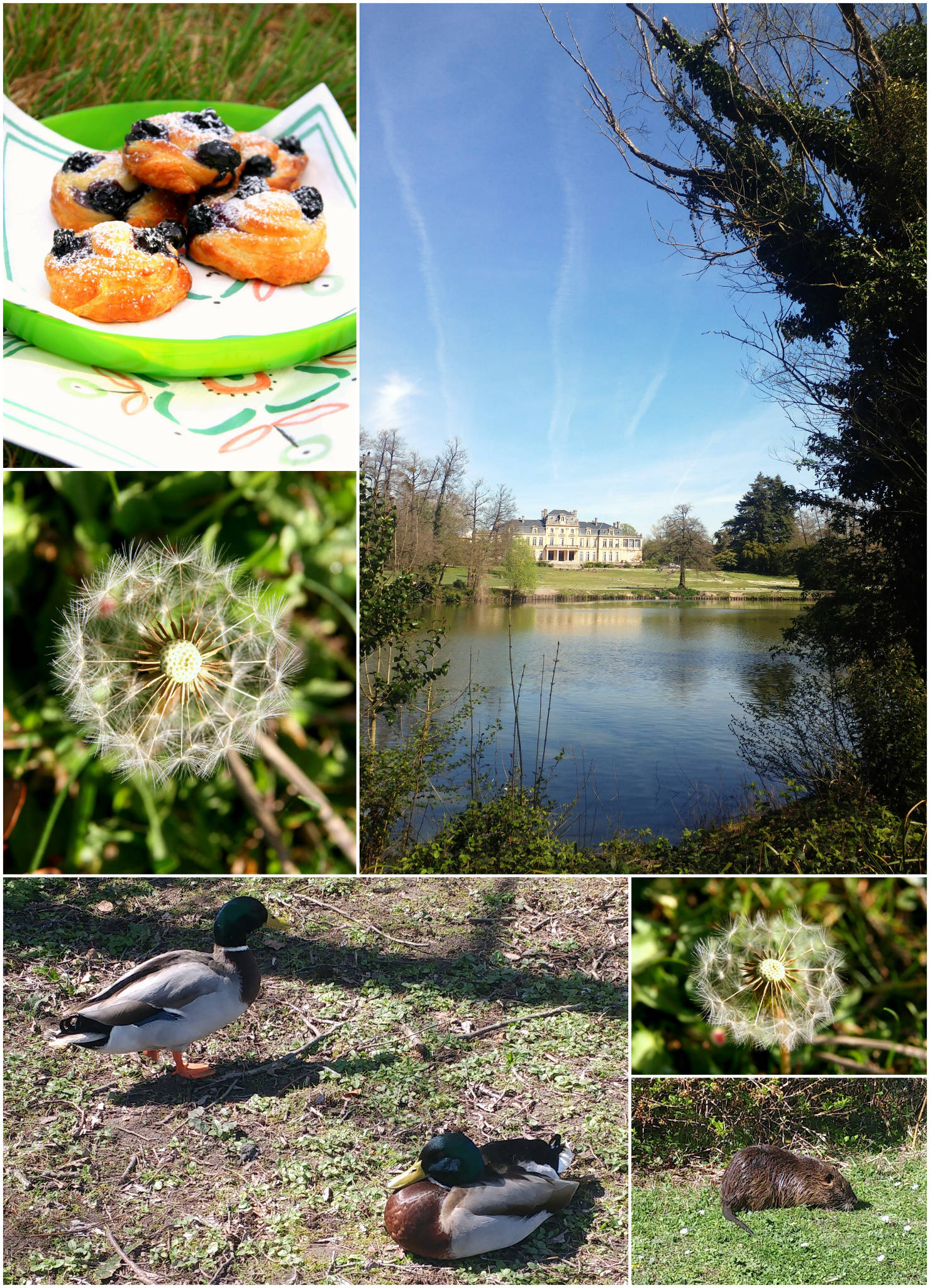 Mini-escargots feuilletés aux myrtilles