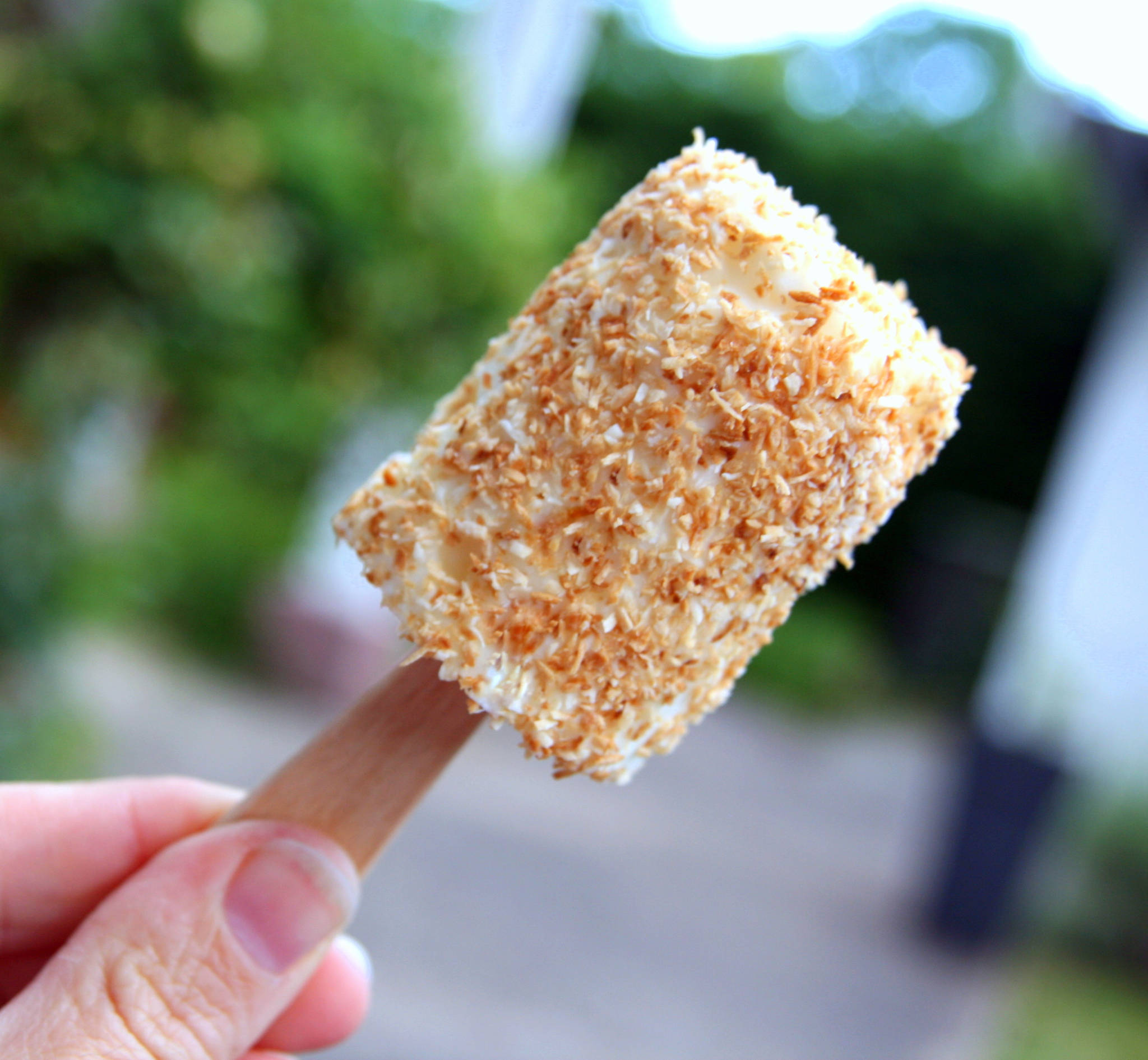 Petit-suisse glacé à la noix de coco