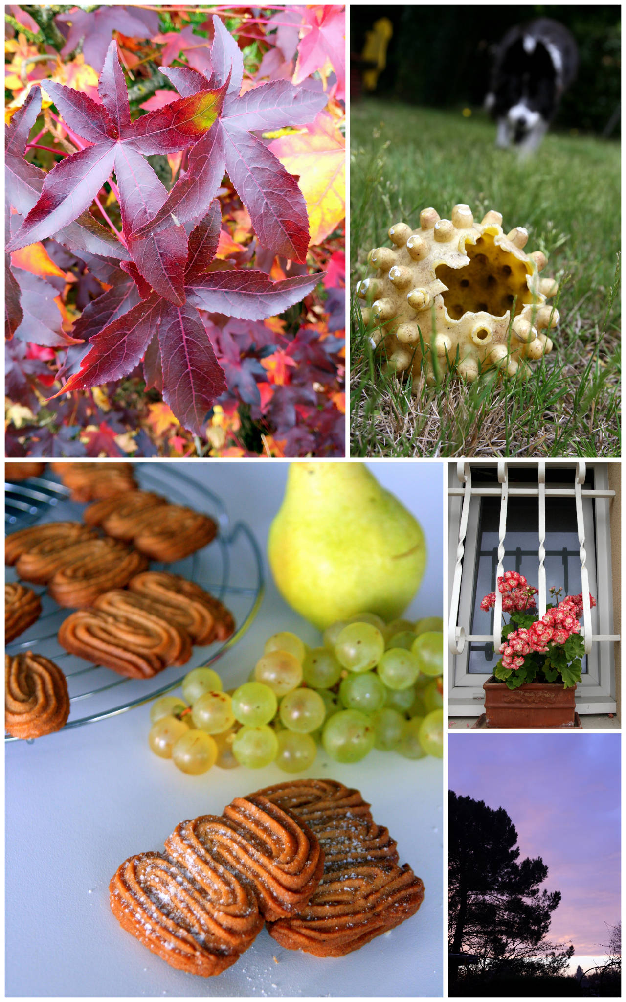 Sablés Spritz aux épices