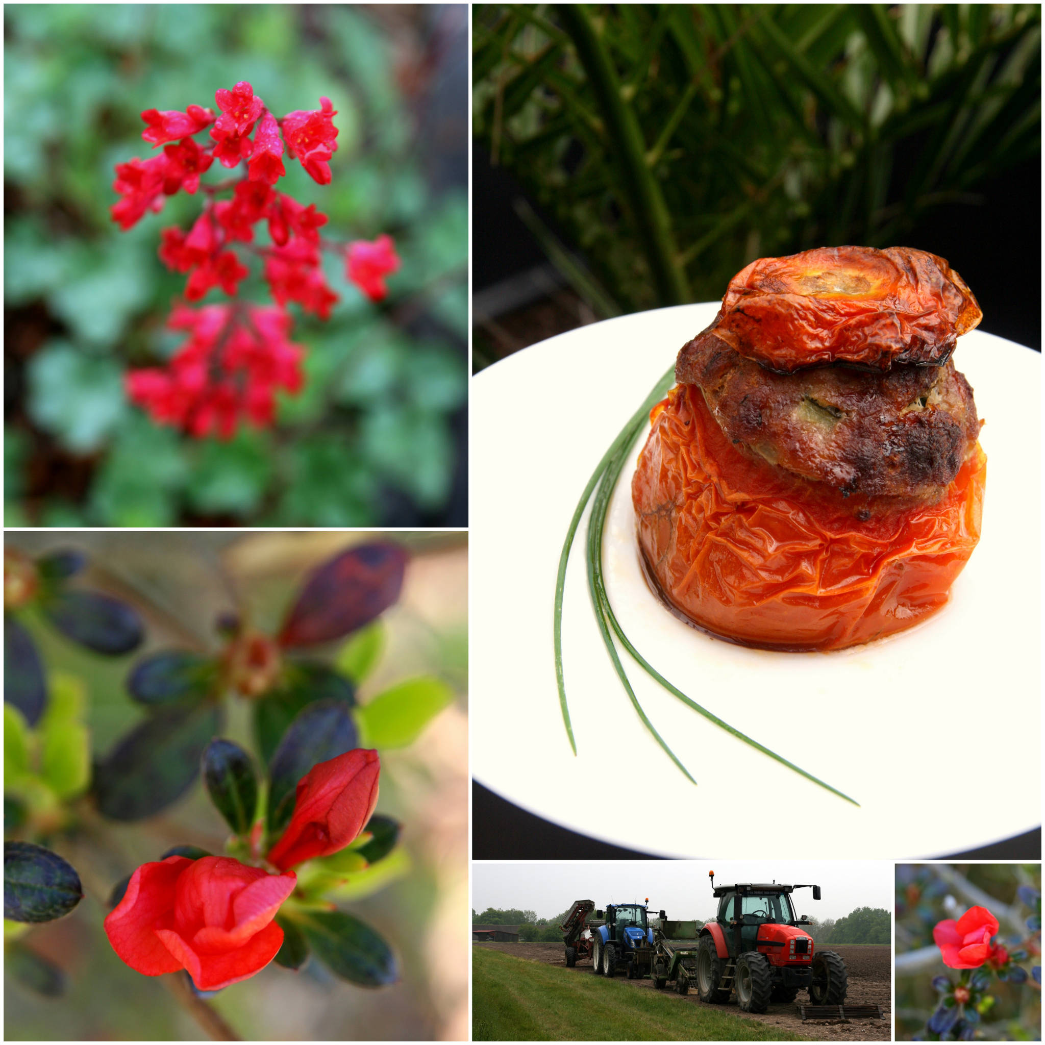 Tomates farcies aux trois viandes et aux courgettes