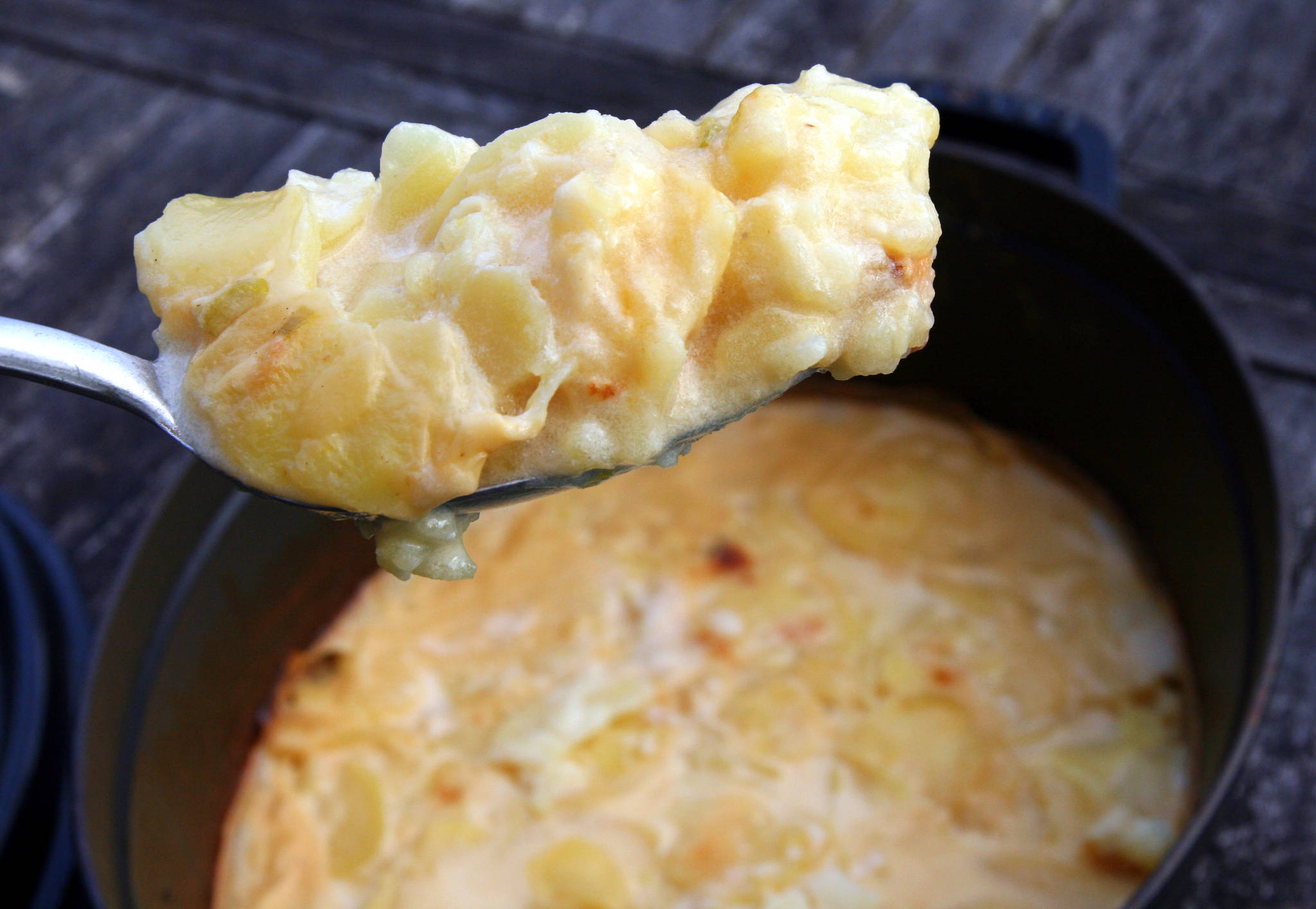 Gratin de pommes de terre à l'aillet