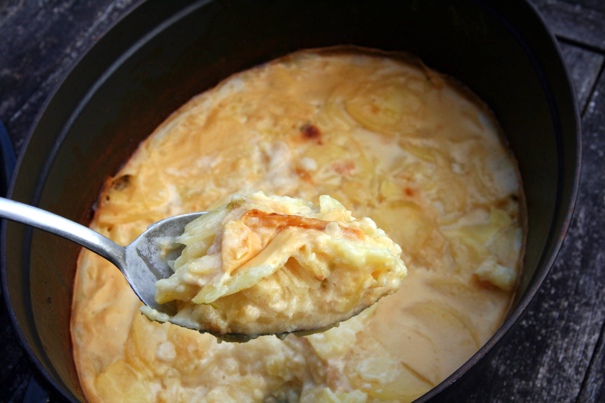 Gratin de pommes de terre à l'aillet