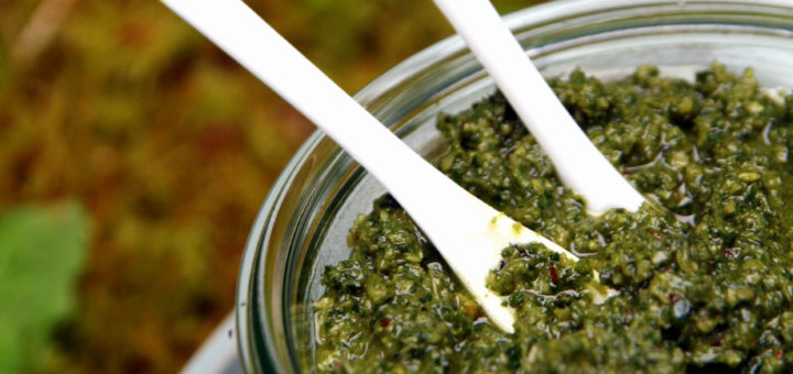 Pesto de fanes de carottes