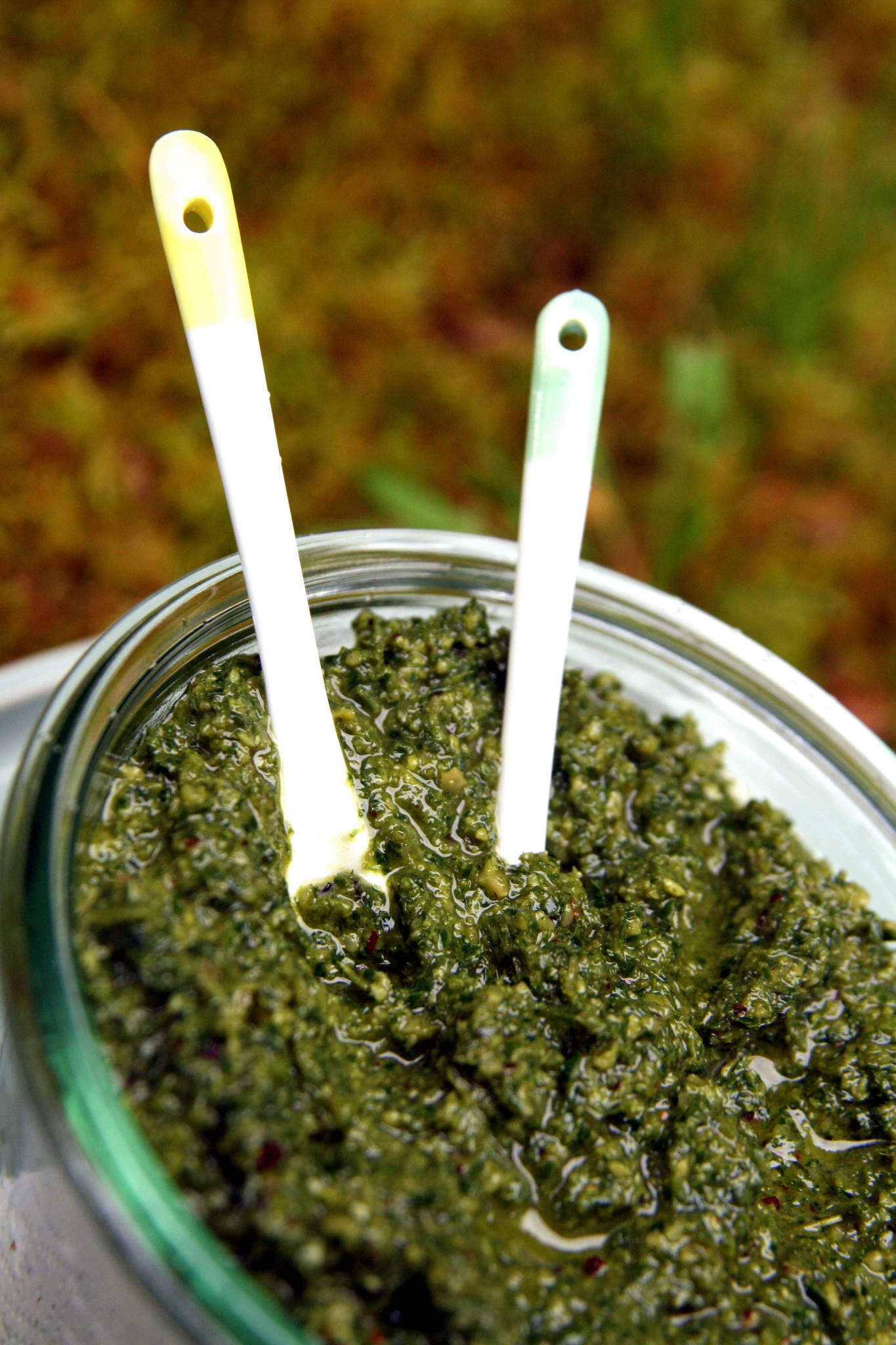 Pesto de fanes de carottes