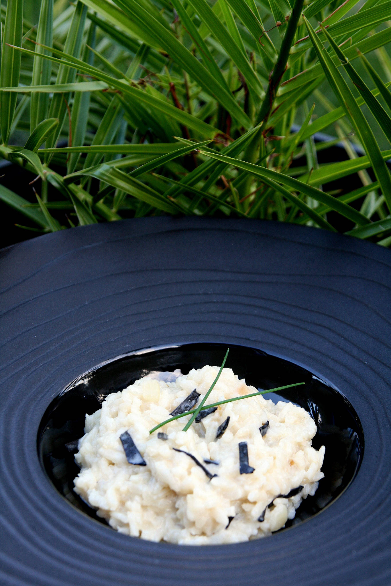 Risotto à la truffe