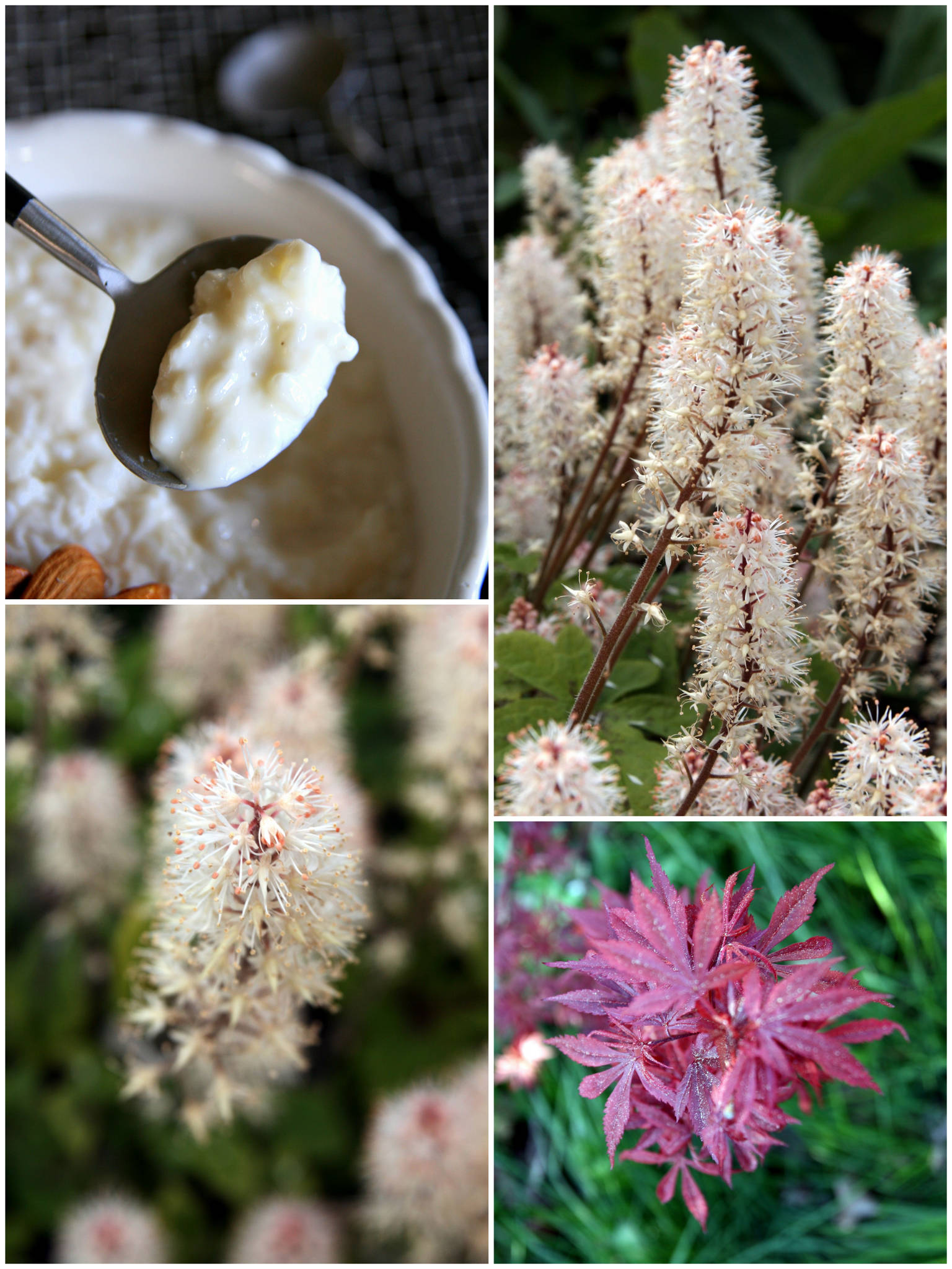 Riz au lait à l'orgeat