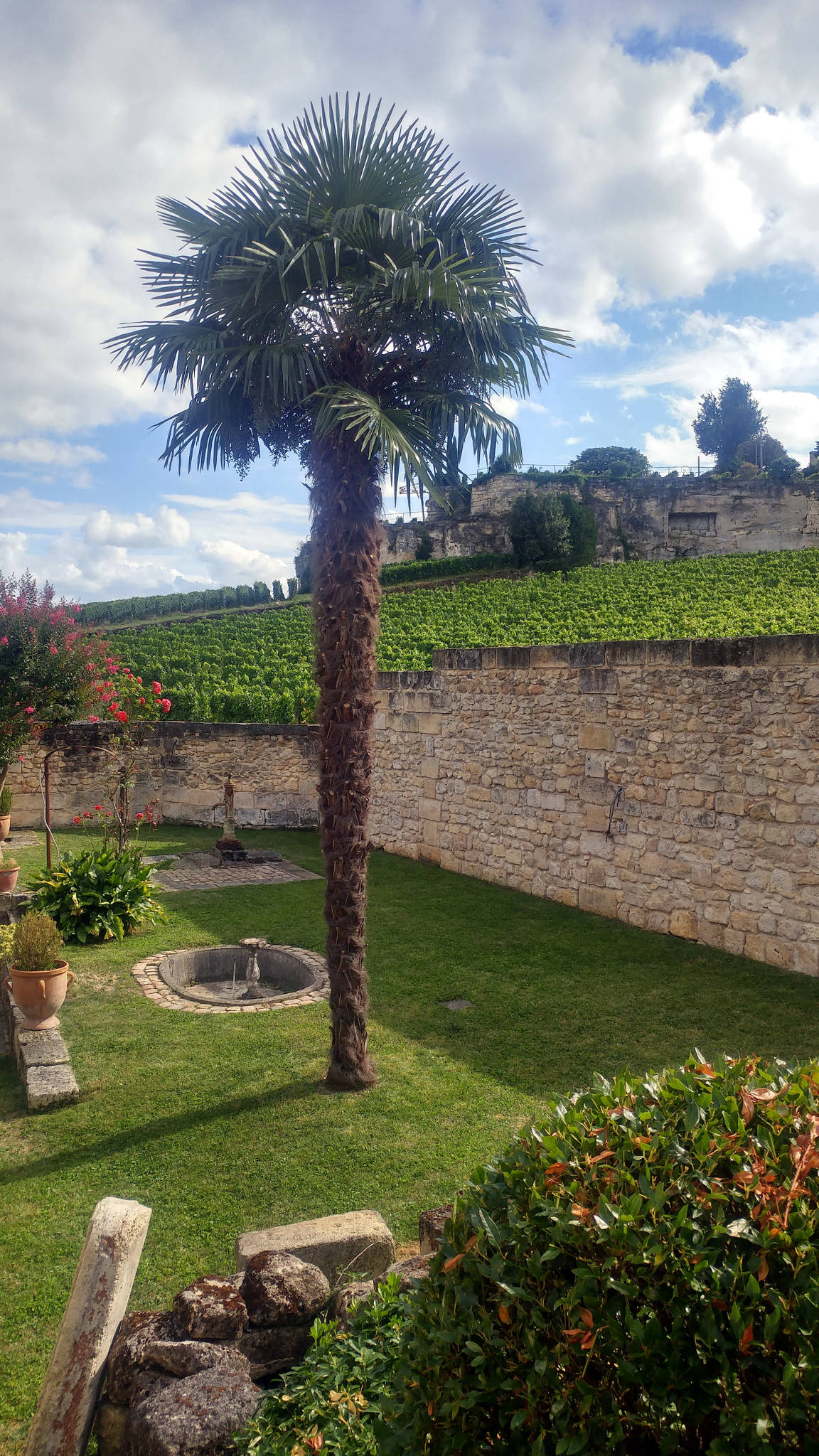 La Terrasse Rouge à Saint-Emilion(33)